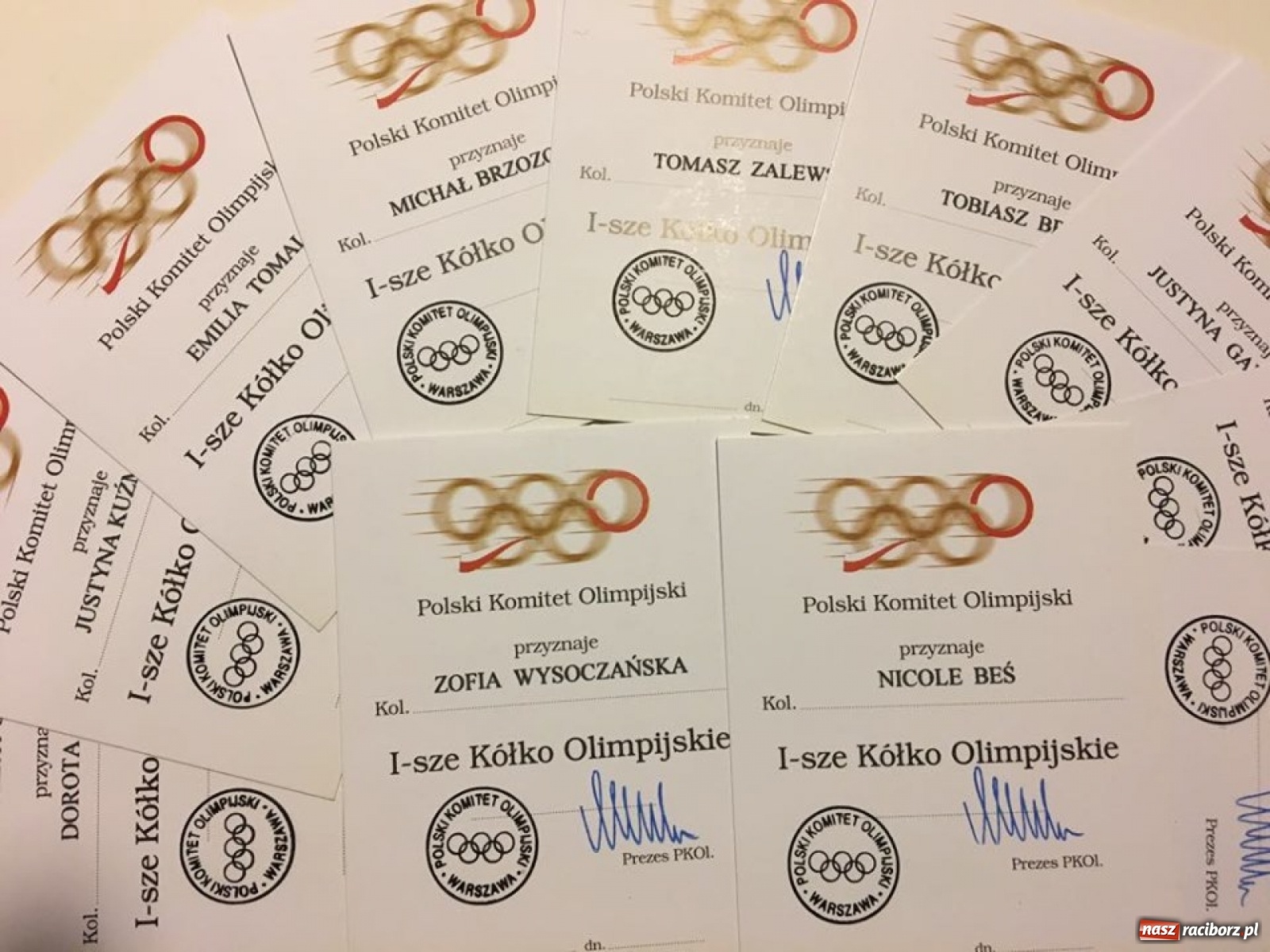 Zdjęcie w galerii na portalu naszraciborz.pl: Kółka olimpijskie dla raciborskich sportowców  wiadomości z regionu