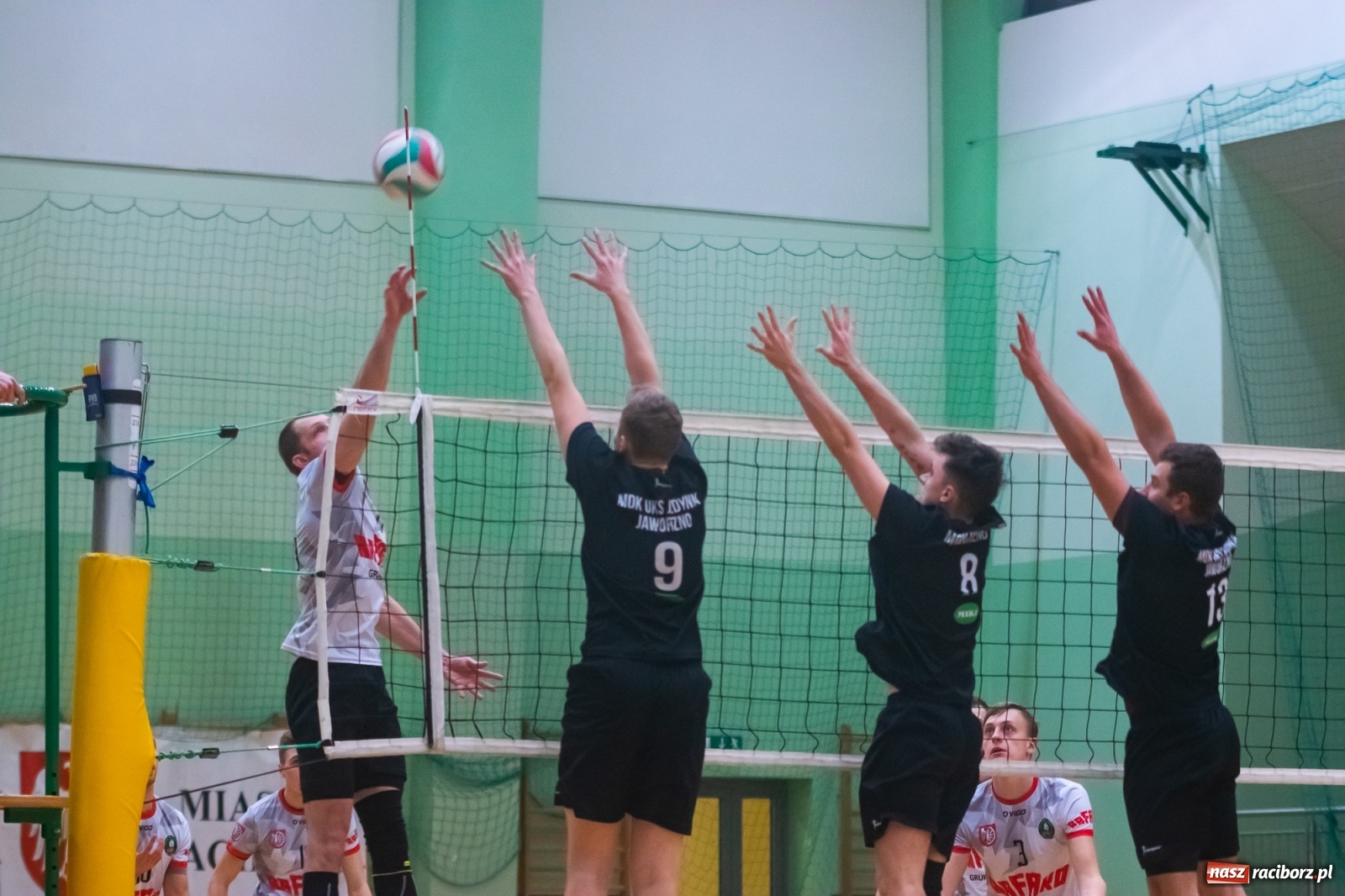 Zdjęcie w galerii na portalu naszraciborz.pl: Siatkówka. KS AZS Rafako żegna outsidera [FOTO i WIDEO] wiadomości z regionu