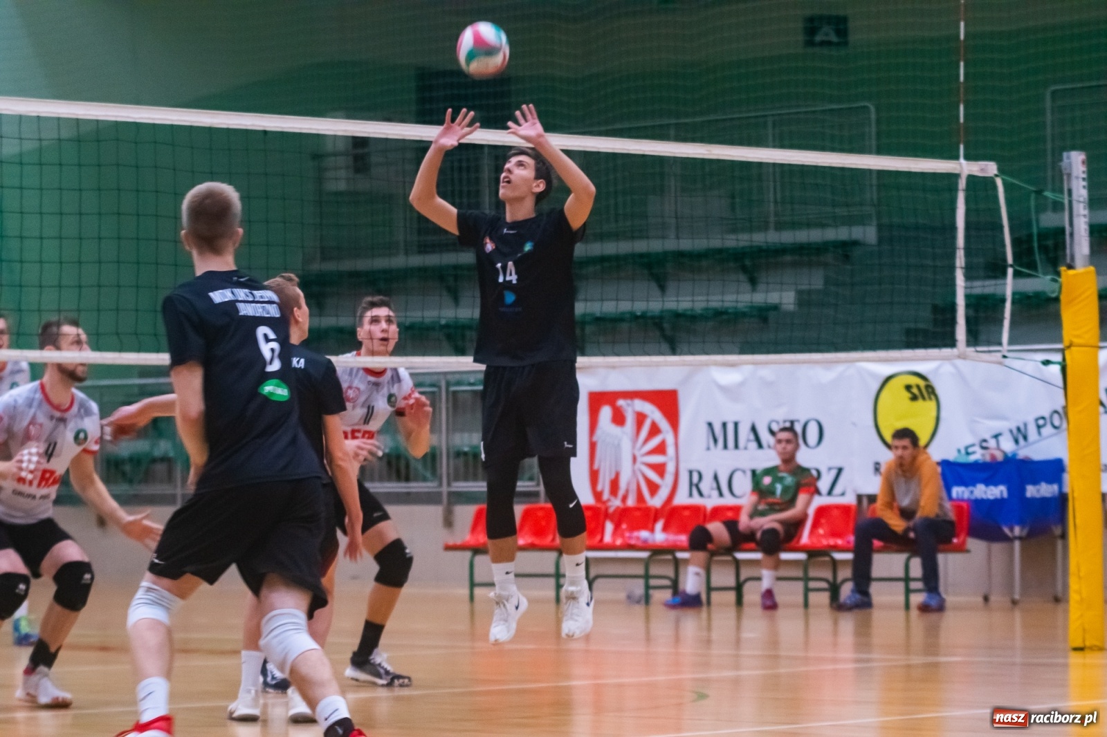 Zdjęcie w galerii na portalu naszraciborz.pl: Siatkówka. KS AZS Rafako żegna outsidera [FOTO i WIDEO] wiadomości z regionu