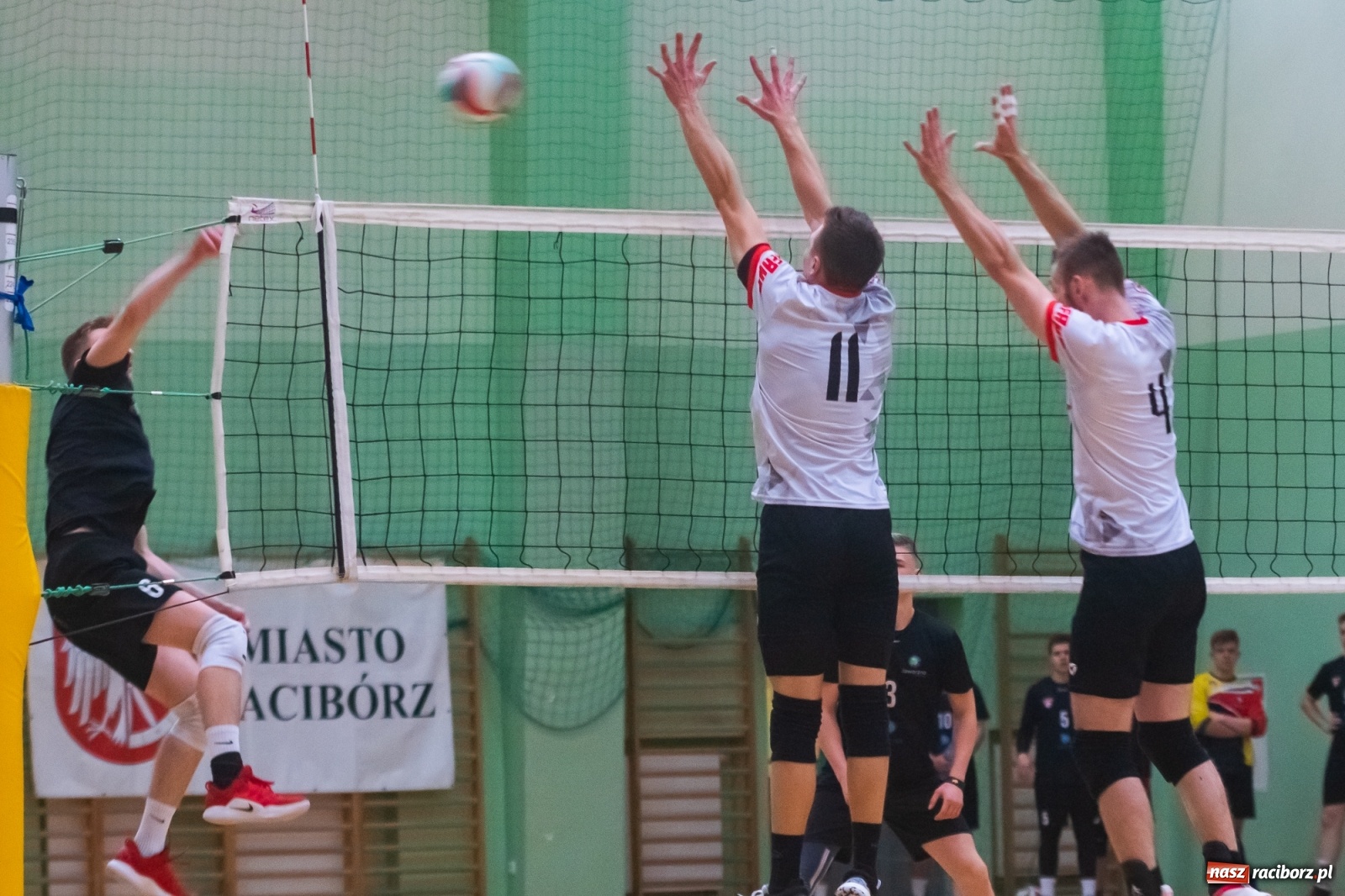 Zdjęcie w galerii na portalu naszraciborz.pl: Siatkówka. KS AZS Rafako żegna outsidera [FOTO i WIDEO] wiadomości z regionu
