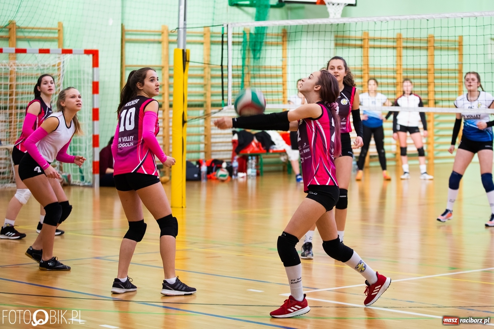 Zdjęcie w galerii na portalu naszraciborz.pl: Niedziela z siatkówką w Arenie Rafako [FOTO] wiadomości z regionu