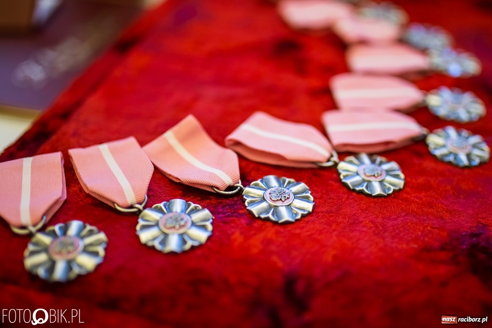 Zdjęcie w galerii na portalu naszraciborz.pl: Pokochać to nie sztuka. Sztuką jest wytrwać w tej miłości. Złote gody w Krzanowicach [FOTO i WIDEO] wiadomości z regionu