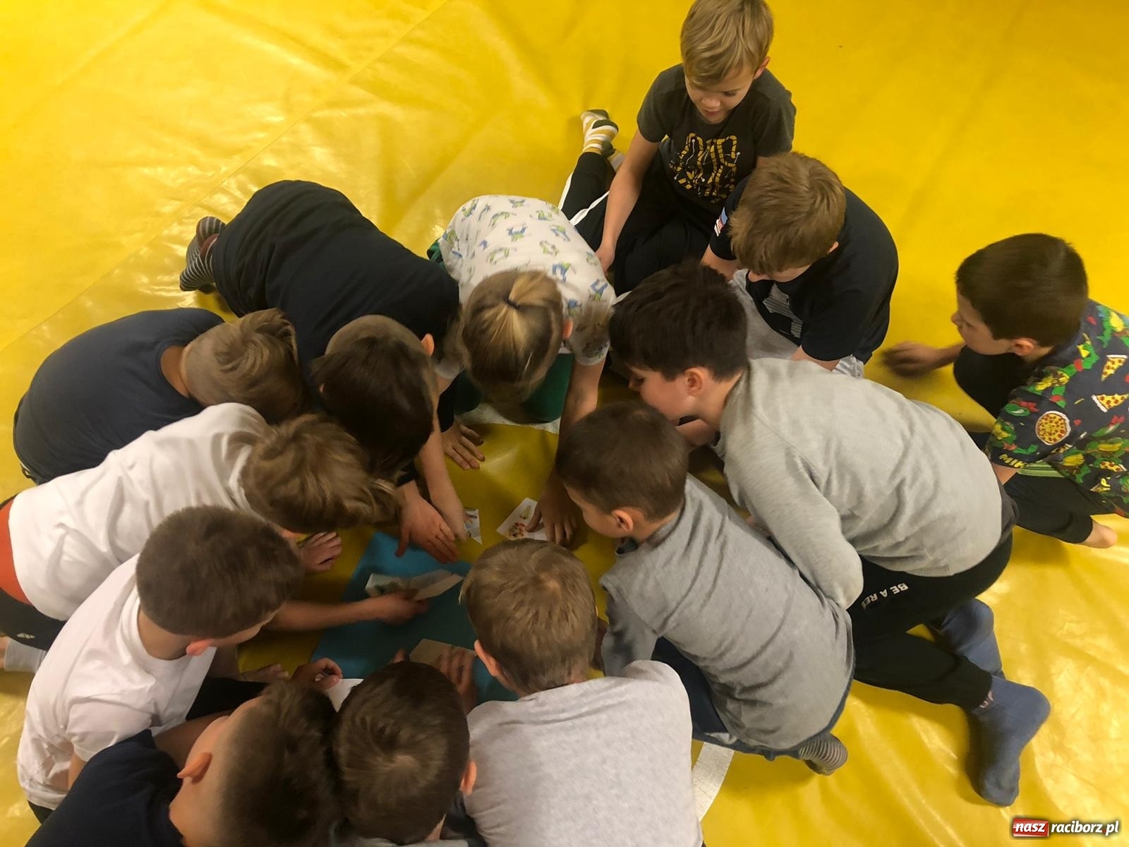 Zdjęcie w galerii na portalu naszraciborz.pl: Łamator podsumował i zakończył akcję profilaktyczną  wiadomości z regionu