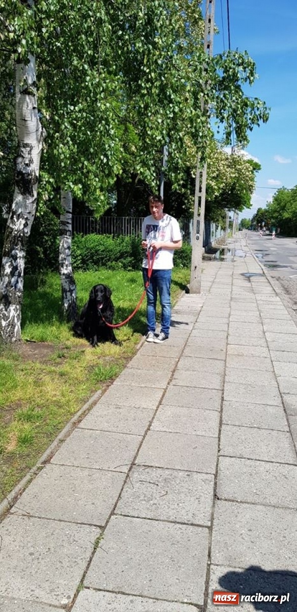 Zdjęcie w galerii na portalu naszraciborz.pl: AS – Szkolna Akademia Sukcesu w ZSS wiadomości z regionu