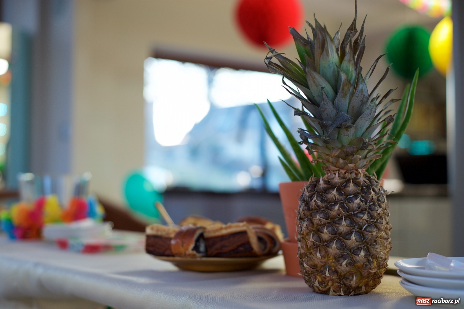 Zdjęcie w galerii na portalu naszraciborz.pl: Wielka Orkiestra zagrała w Tworkowie. W salonie jak w rodzinie i to z Anią Wyszkoni wiadomości z regionu