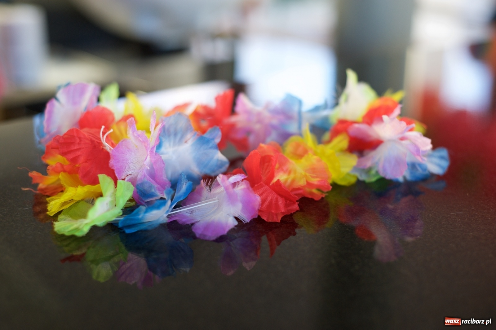 Zdjęcie w galerii na portalu naszraciborz.pl: Wielka Orkiestra zagrała w Tworkowie. W salonie jak w rodzinie i to z Anią Wyszkoni wiadomości z regionu