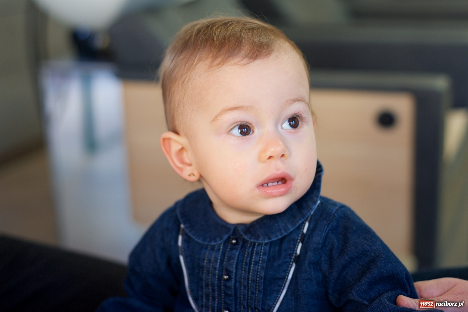 Zdjęcie w galerii na portalu naszraciborz.pl: Wielka Orkiestra zagrała w Tworkowie. W salonie jak w rodzinie i to z Anią Wyszkoni wiadomości z regionu