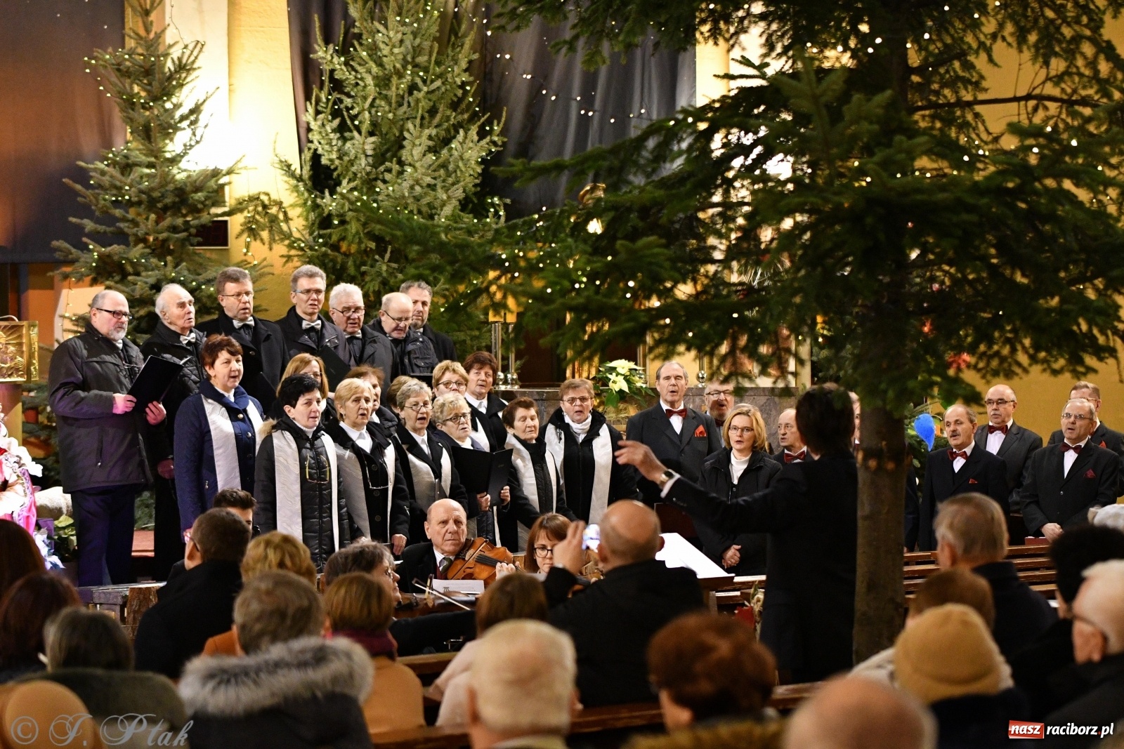Zdjęcie w galerii na portalu naszraciborz.pl: Koncert kolęd i pastorałek w kościele NSPJ  wiadomości z regionu