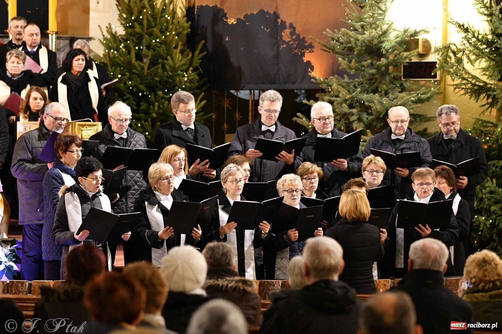 Zdjęcie w galerii na portalu naszraciborz.pl: Koncert kolęd i pastorałek w kościele NSPJ  wiadomości z regionu