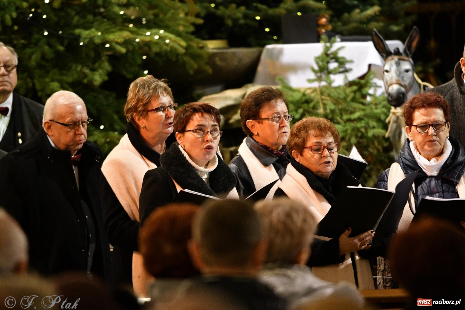 Zdjęcie w galerii na portalu naszraciborz.pl: Koncert kolęd i pastorałek w kościele NSPJ  wiadomości z regionu