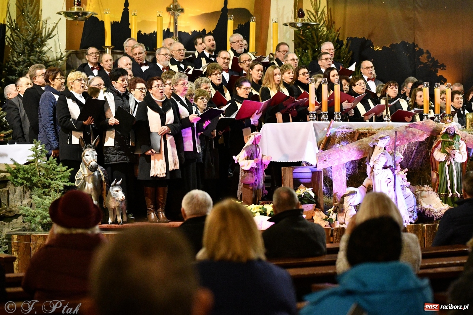 Zdjęcie w galerii na portalu naszraciborz.pl: Koncert kolęd i pastorałek w kościele NSPJ  wiadomości z regionu