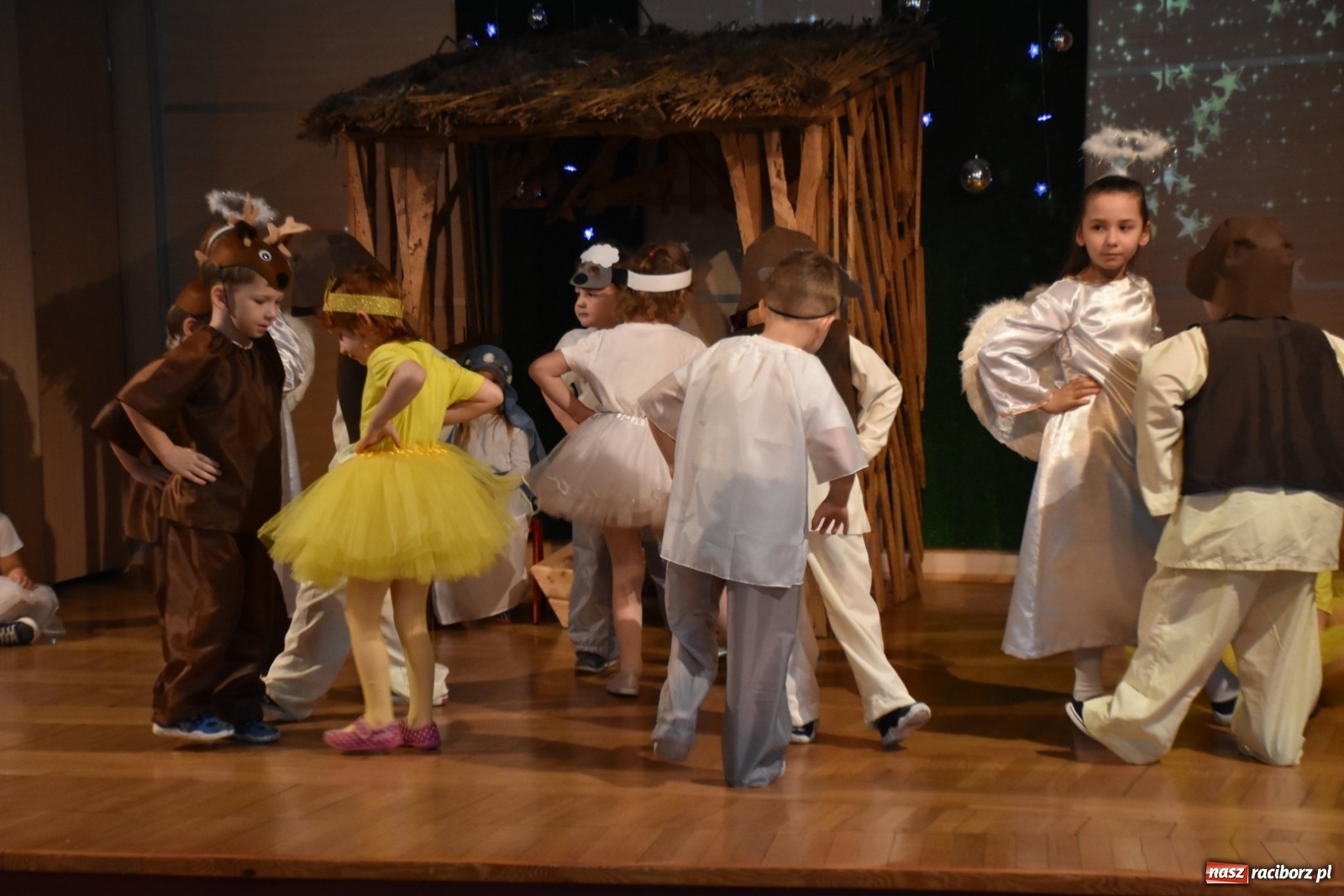 Zdjęcie w galerii na portalu naszraciborz.pl: Bóg się rodzi... Przegląd przedstawień bożonarodzeniowych  wiadomości z regionu