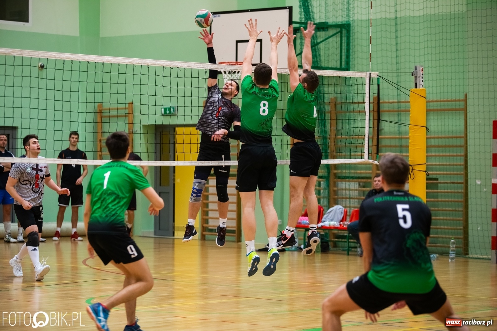 Zdjęcie w galerii na portalu naszraciborz.pl: Akademickie Mistrzostwa Śląska w siatkówce w Arenie Rafako wiadomości z regionu