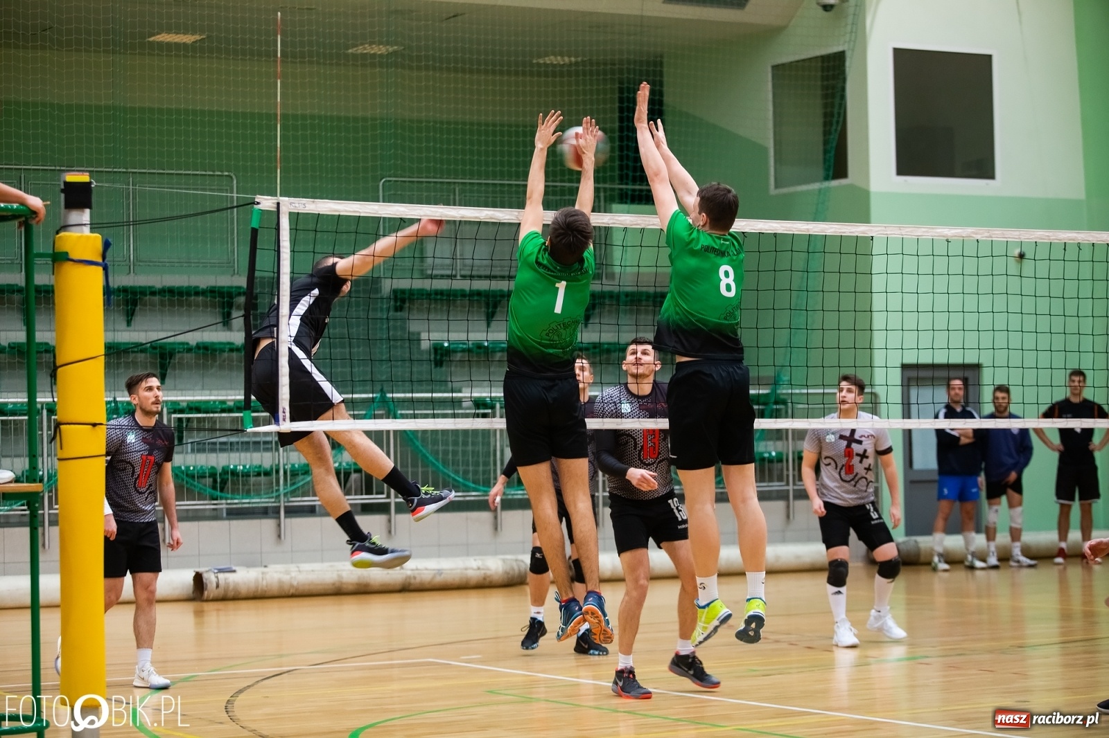 Zdjęcie w galerii na portalu naszraciborz.pl: Akademickie Mistrzostwa Śląska w siatkówce w Arenie Rafako wiadomości z regionu