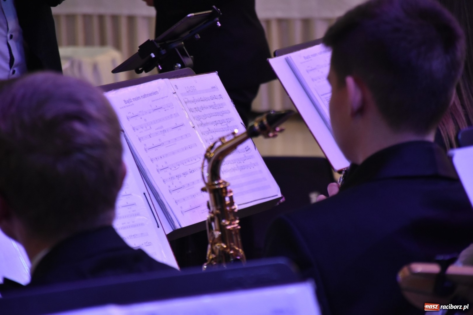 Zdjęcie w galerii na portalu naszraciborz.pl: Koncert noworoczny gminy Krzyżanowice  wiadomości z regionu