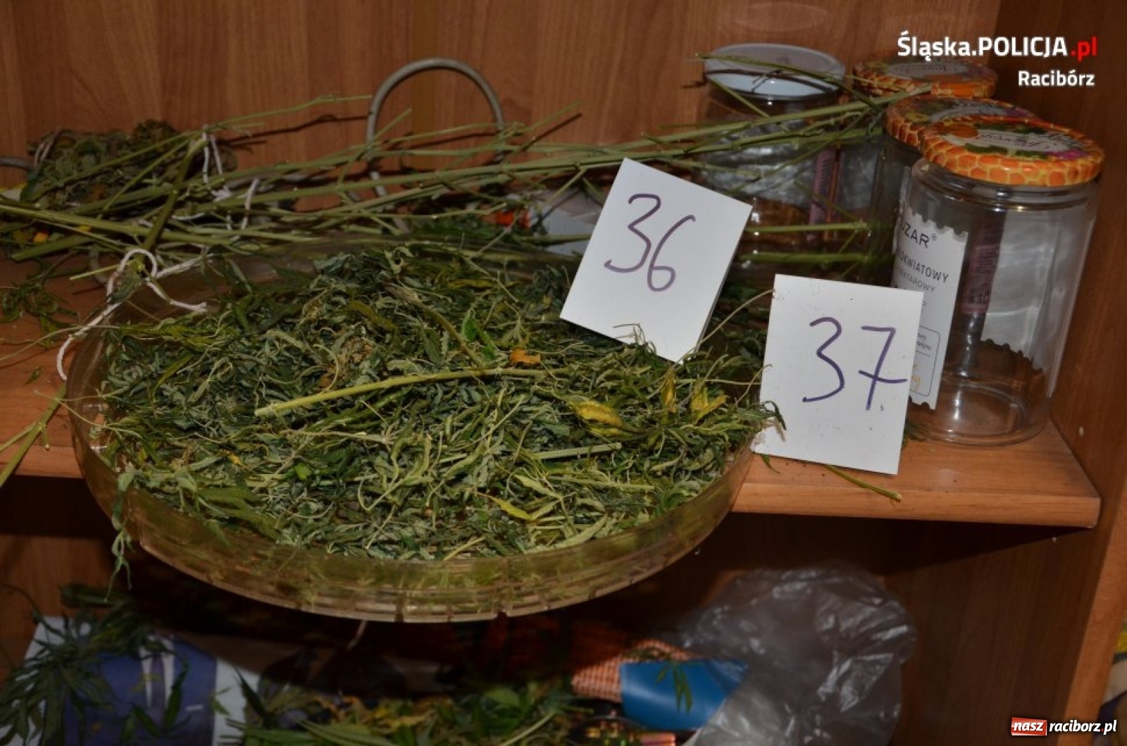 Zdjęcie w galerii na portalu naszraciborz.pl: Akcja policyjnych antyterrorystów w Raciborzu na Brzeskiej  wiadomości z regionu