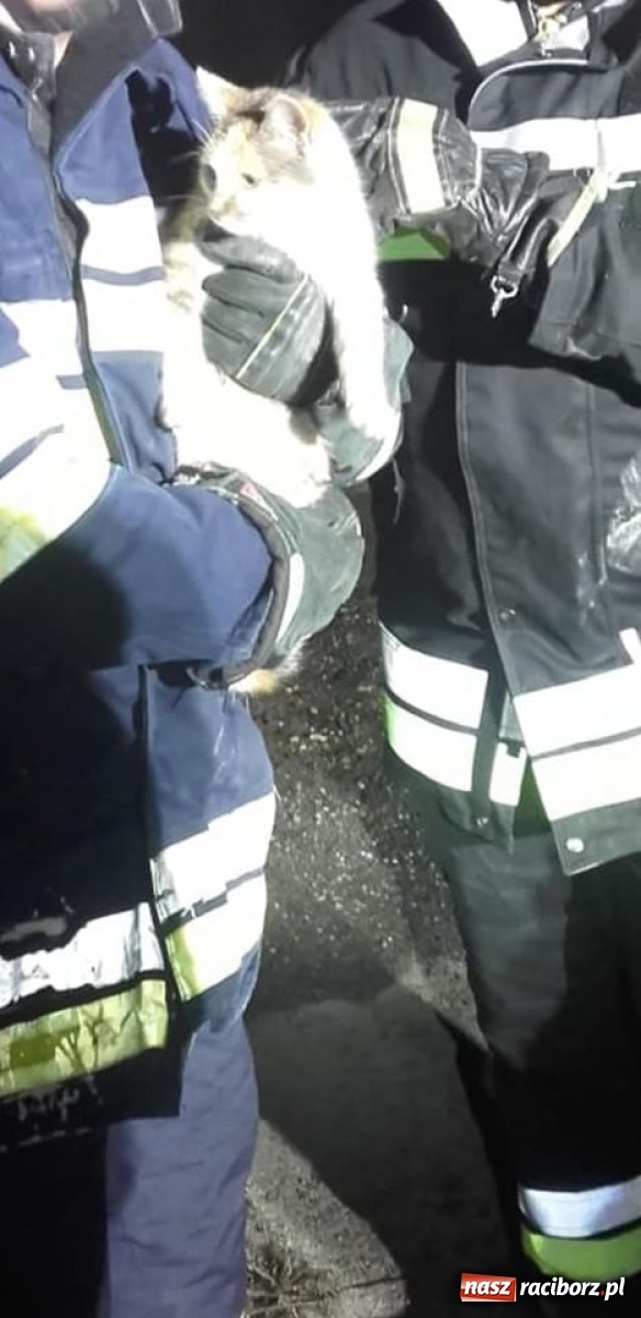 Zdjęcie w galerii na portalu naszraciborz.pl: Czad przy Opawskiej i Rudzkiej. 10-letnia dziewczynka trafiła do szpitala wiadomości z regionu