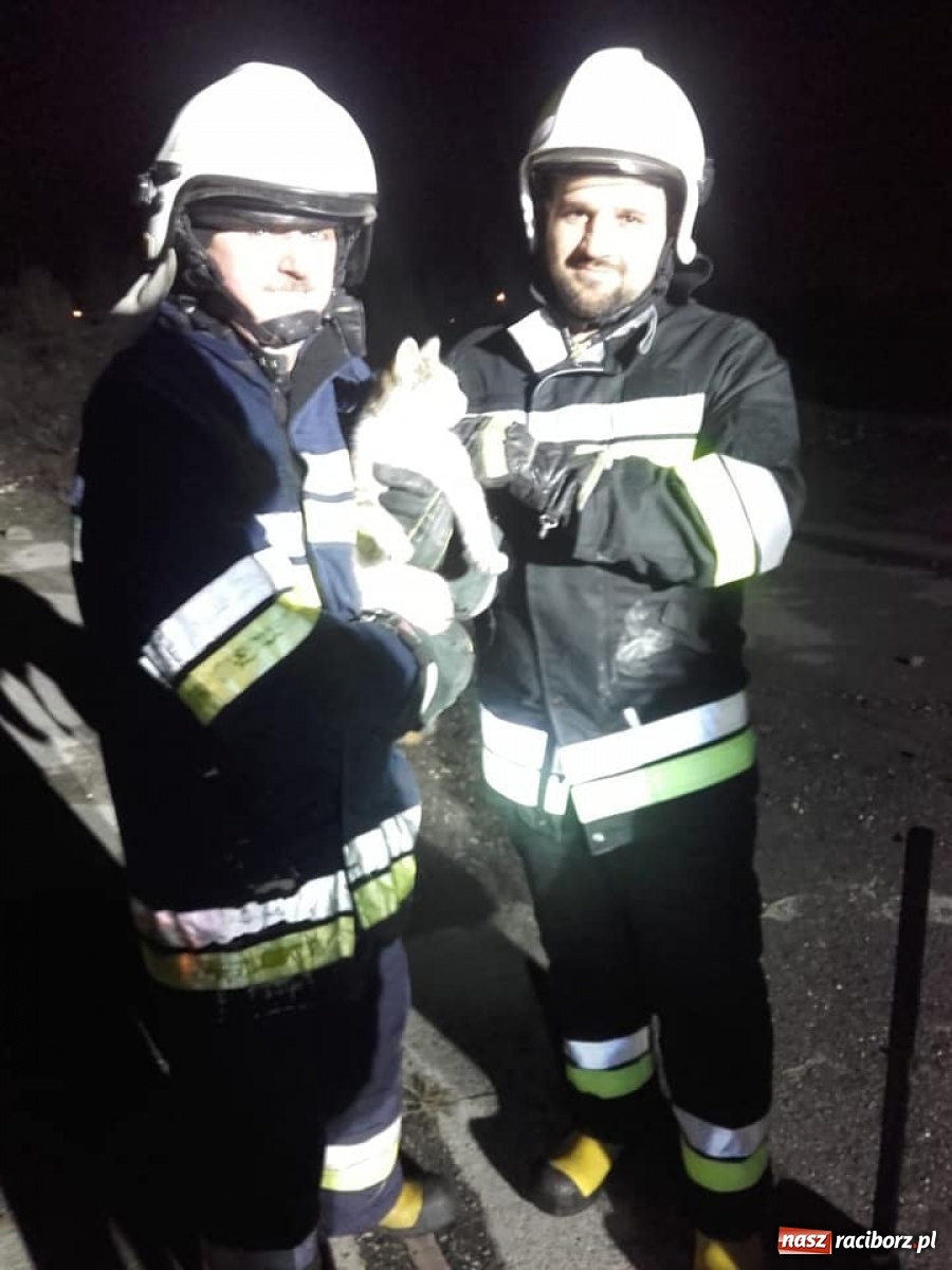 Zdjęcie w galerii na portalu naszraciborz.pl: Czad przy Opawskiej i Rudzkiej. 10-letnia dziewczynka trafiła do szpitala wiadomości z regionu