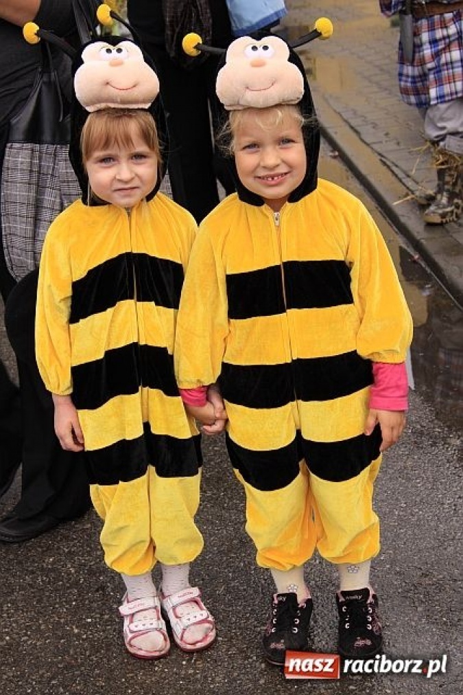 Zdjęcie w galerii na portalu naszraciborz.pl: Dożynki w Owsiszczach i Zabełkowie wiadomości z regionu