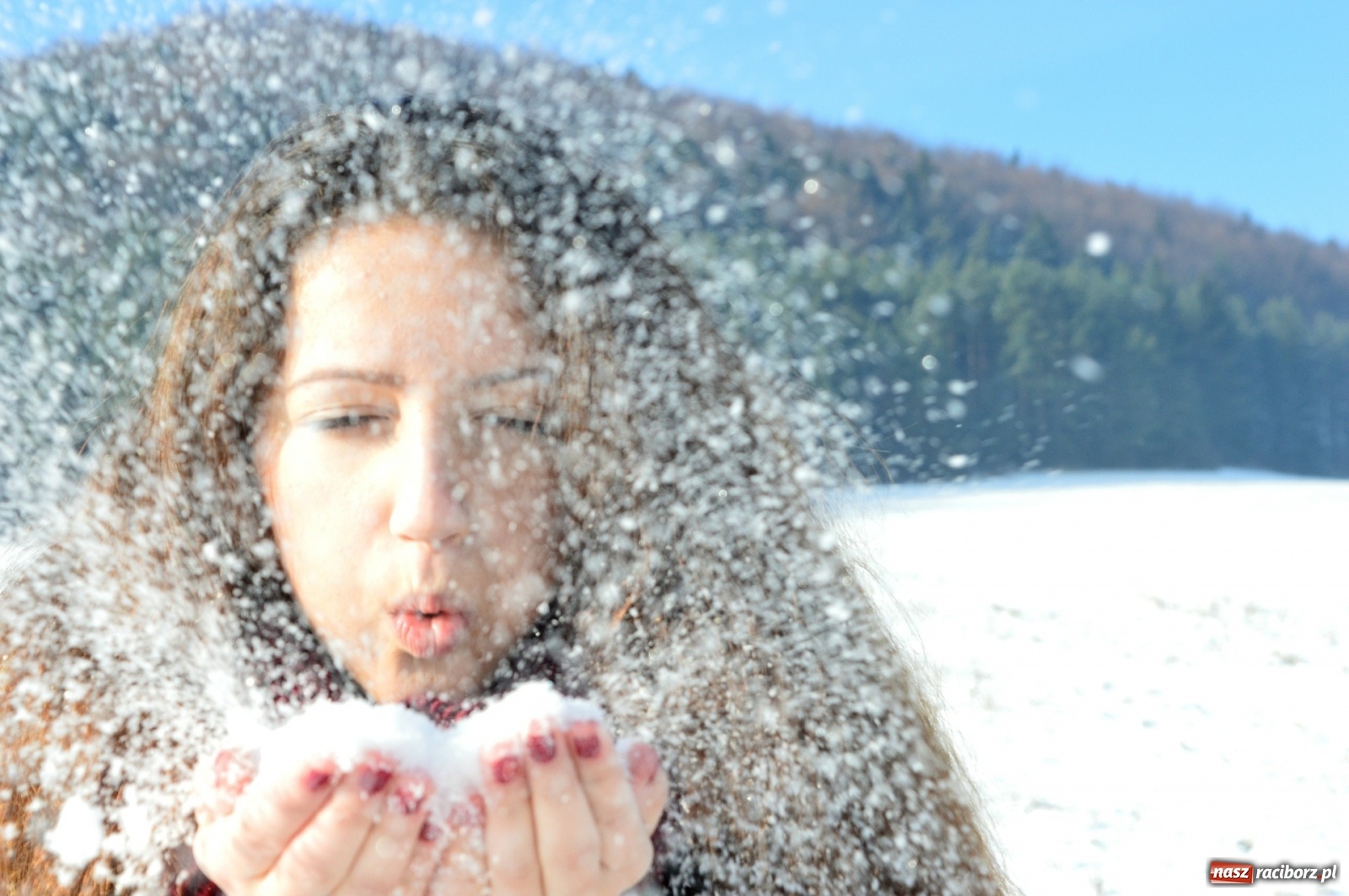 Zdjęcie w galerii na portalu naszraciborz.pl: Zimowe skarby Tatr Słowackich wiadomości z regionu