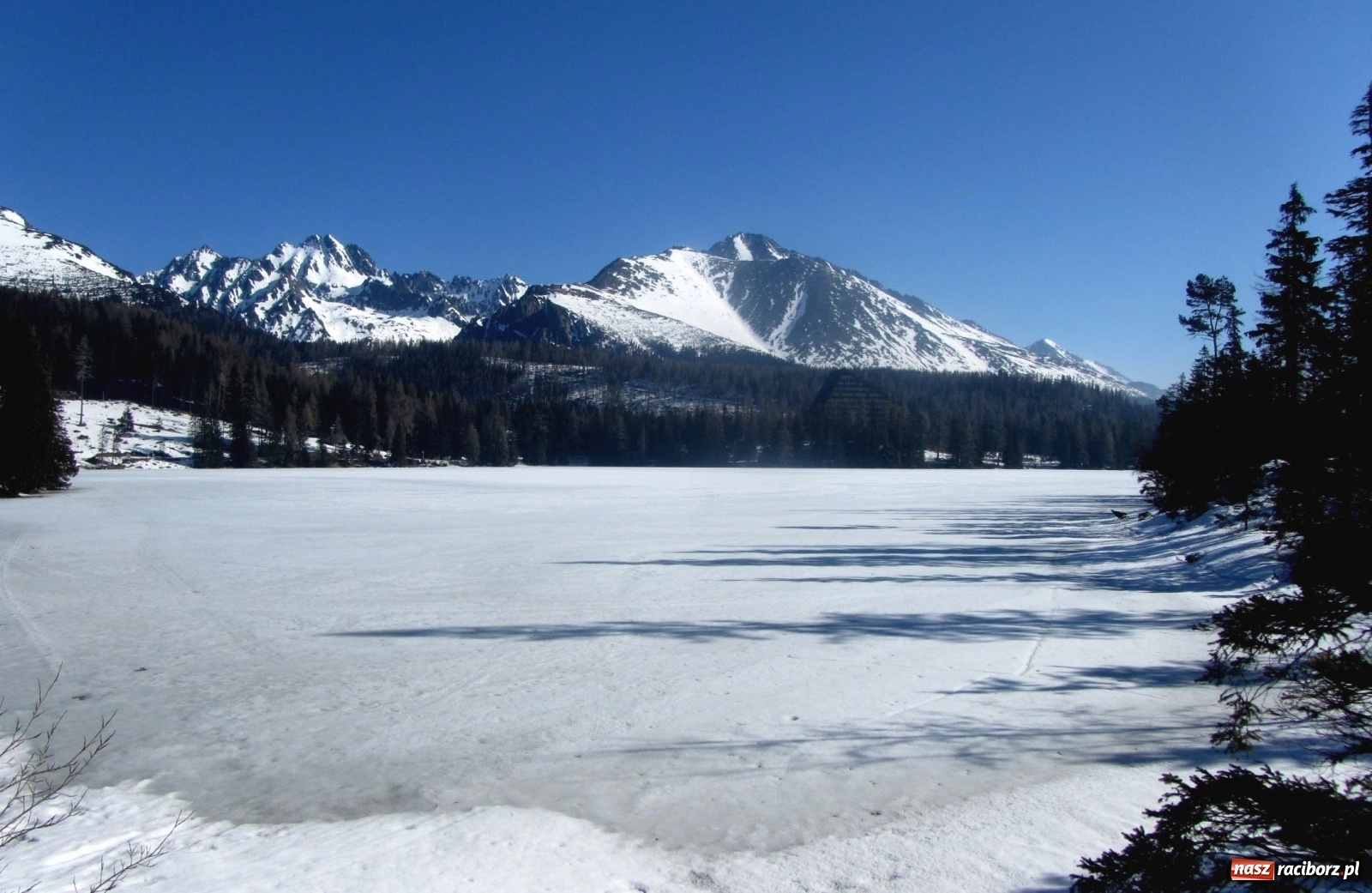 Zdjęcie w galerii na portalu naszraciborz.pl: Zimowe skarby Tatr Słowackich wiadomości z regionu