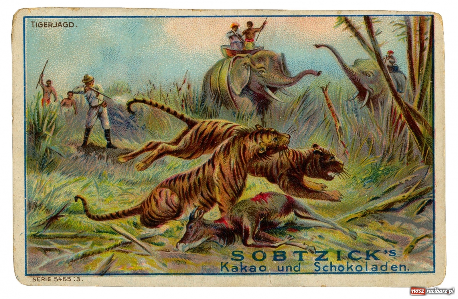 Zdjęcie w galerii na portalu naszraciborz.pl: Raciborski Willy Wonka. Słodkie imperium Felixa Sobtzicka  wiadomości z regionu