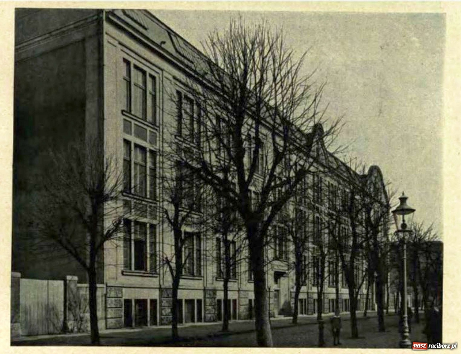 Zdjęcie w galerii na portalu naszraciborz.pl: Raciborski Willy Wonka. Słodkie imperium Felixa Sobtzicka  wiadomości z regionu