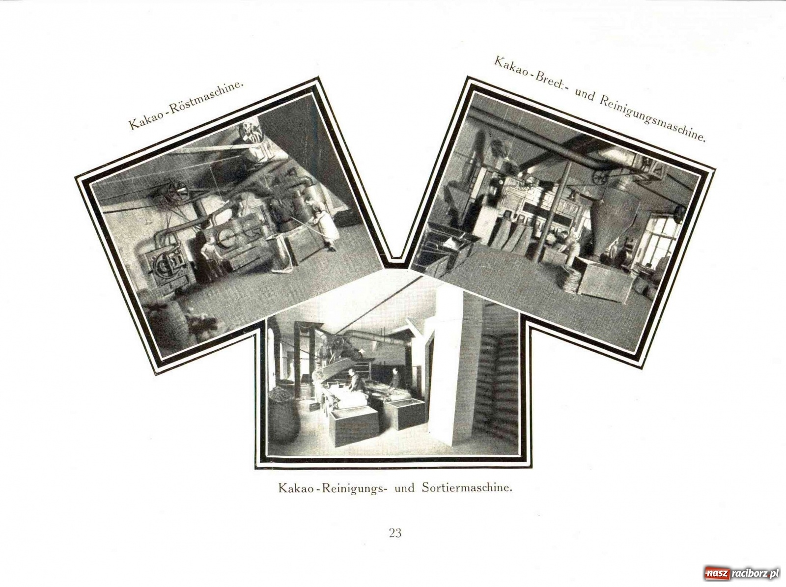 Zdjęcie w galerii na portalu naszraciborz.pl: Raciborski Willy Wonka. Słodkie imperium Felixa Sobtzicka  wiadomości z regionu