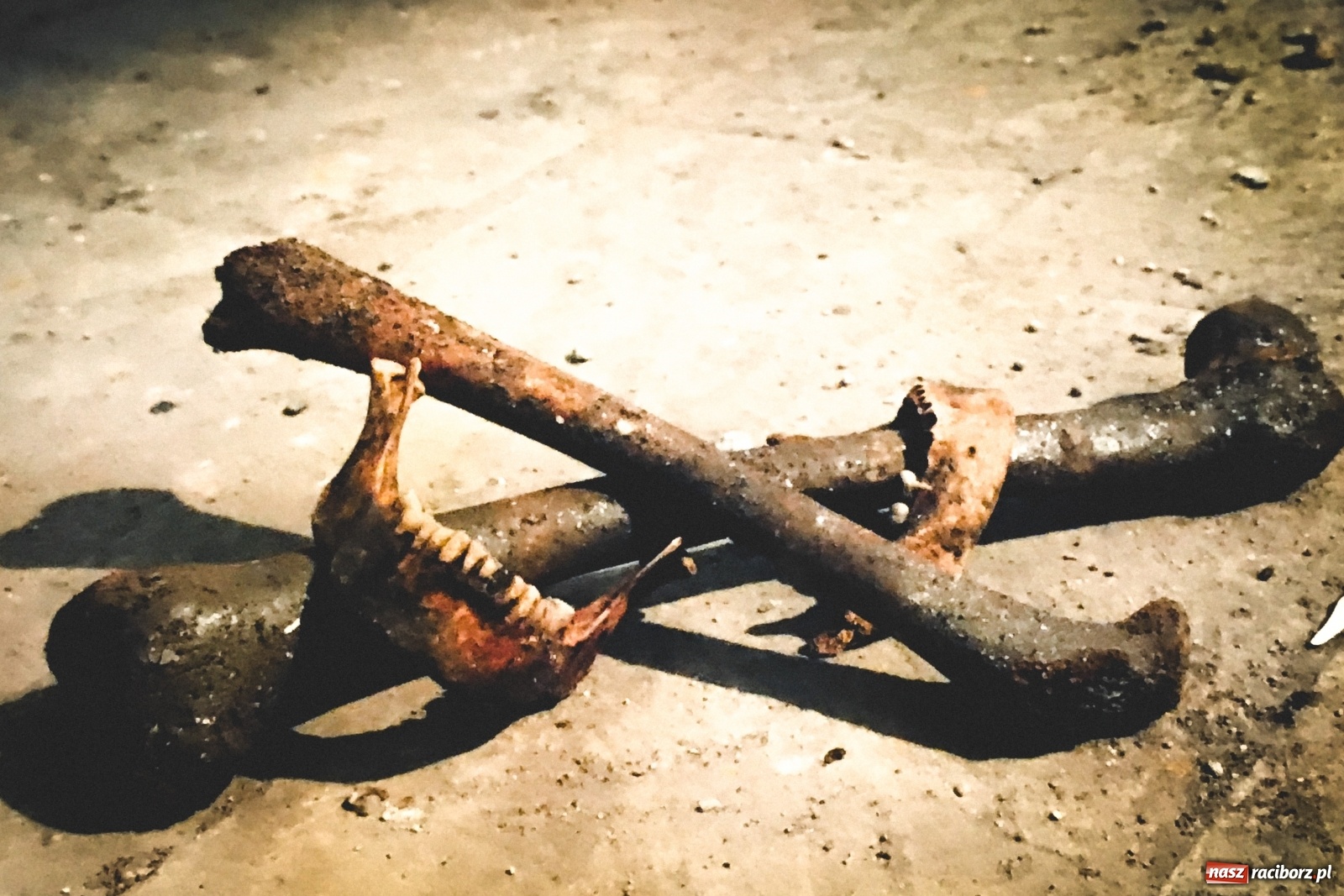 Zdjęcie w galerii na portalu naszraciborz.pl: Epidemie w dziejach Raciborza  wiadomości z regionu