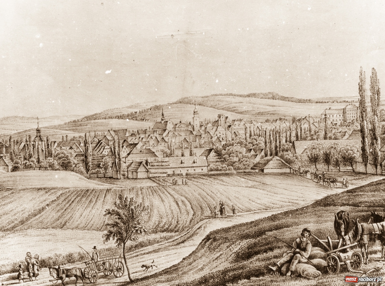 Zdjęcie w galerii na portalu naszraciborz.pl: Epidemie w dziejach Raciborza  wiadomości z regionu