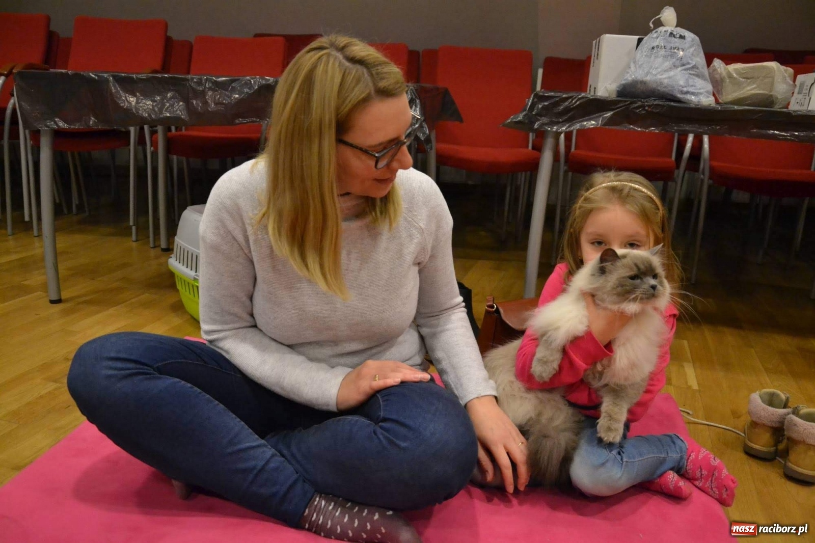 Zdjęcie w galerii na portalu naszraciborz.pl: Dzień Kota na raciborskim zamku wiadomości z regionu