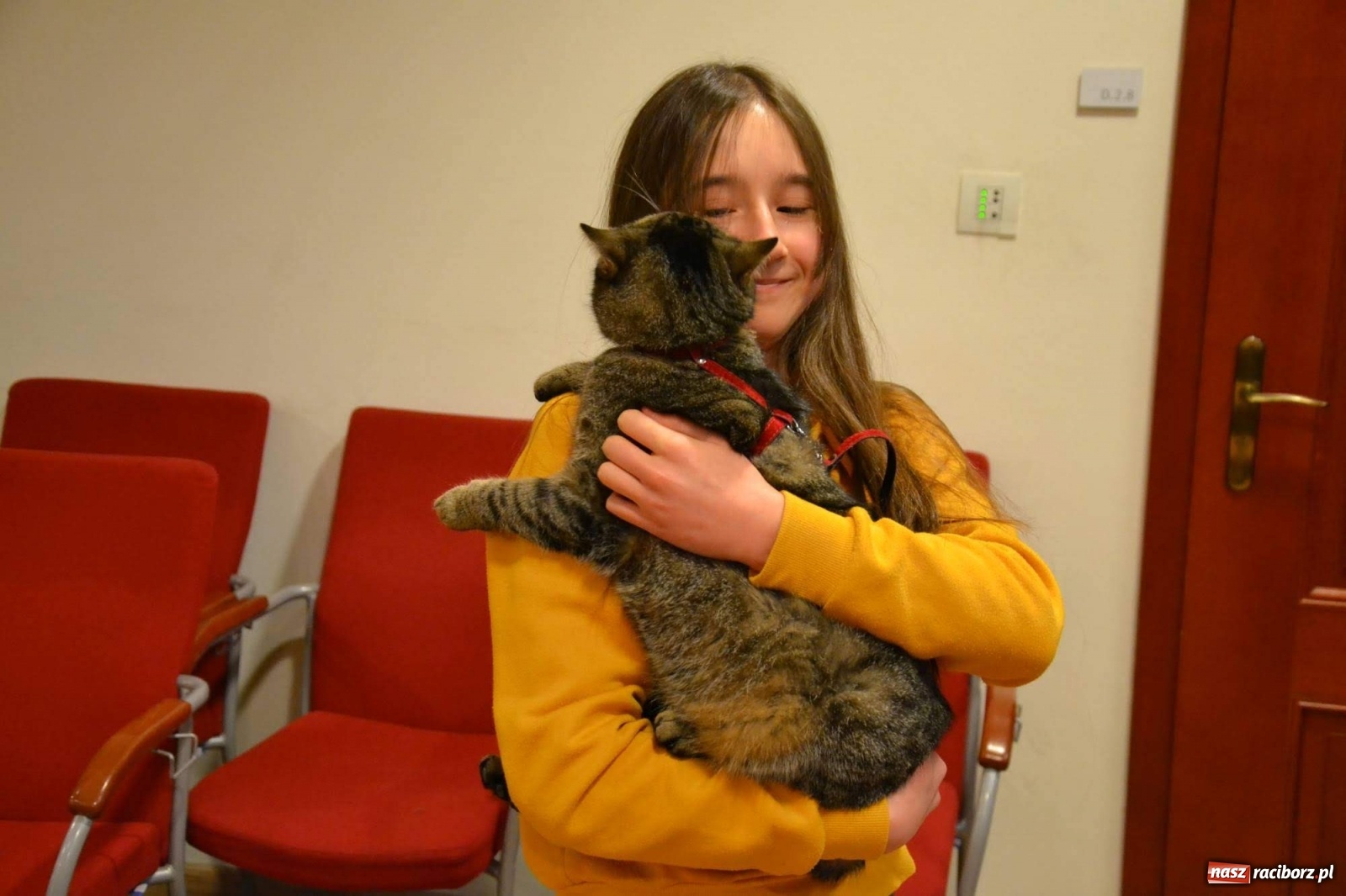 Zdjęcie w galerii na portalu naszraciborz.pl: Dzień Kota na raciborskim zamku wiadomości z regionu