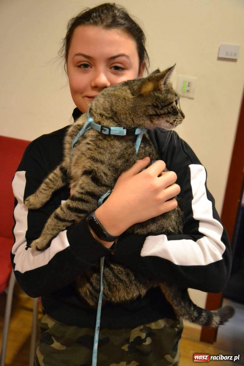 Zdjęcie w galerii na portalu naszraciborz.pl: Dzień Kota na raciborskim zamku wiadomości z regionu