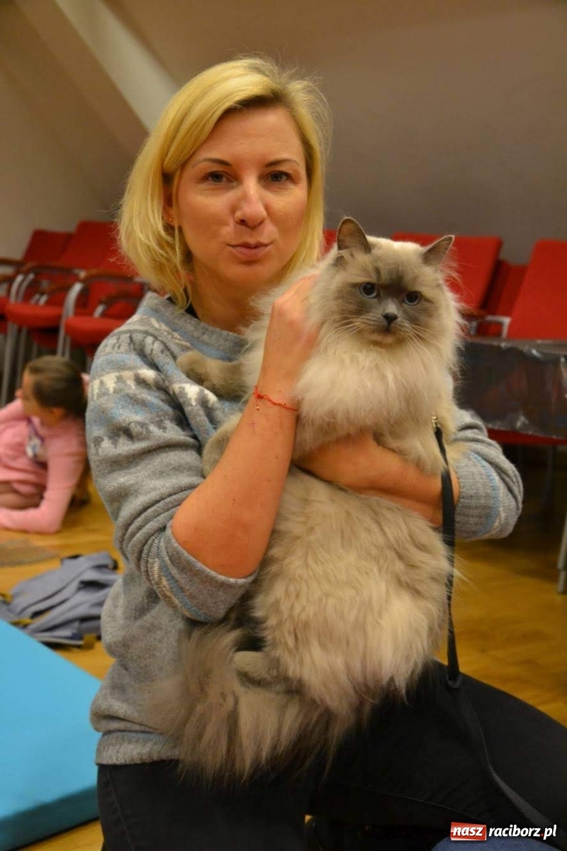 Zdjęcie w galerii na portalu naszraciborz.pl: Dzień Kota na raciborskim zamku wiadomości z regionu