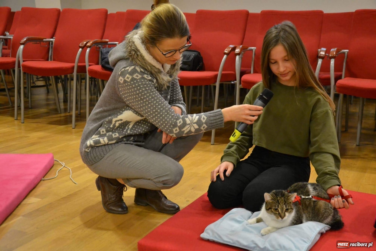 Zdjęcie w galerii na portalu naszraciborz.pl: Dzień Kota na raciborskim zamku wiadomości z regionu