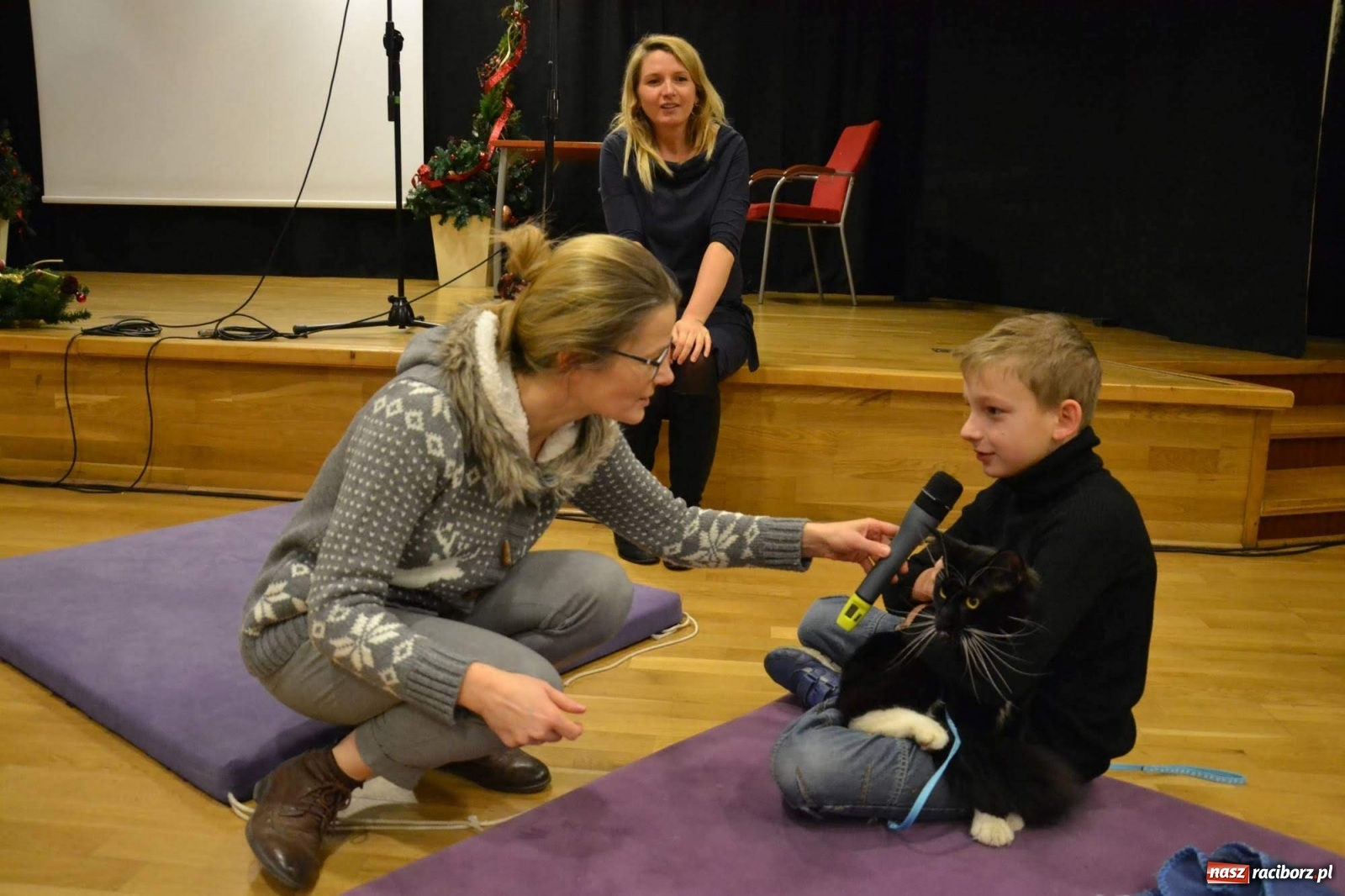 Zdjęcie w galerii na portalu naszraciborz.pl: Dzień Kota na raciborskim zamku wiadomości z regionu