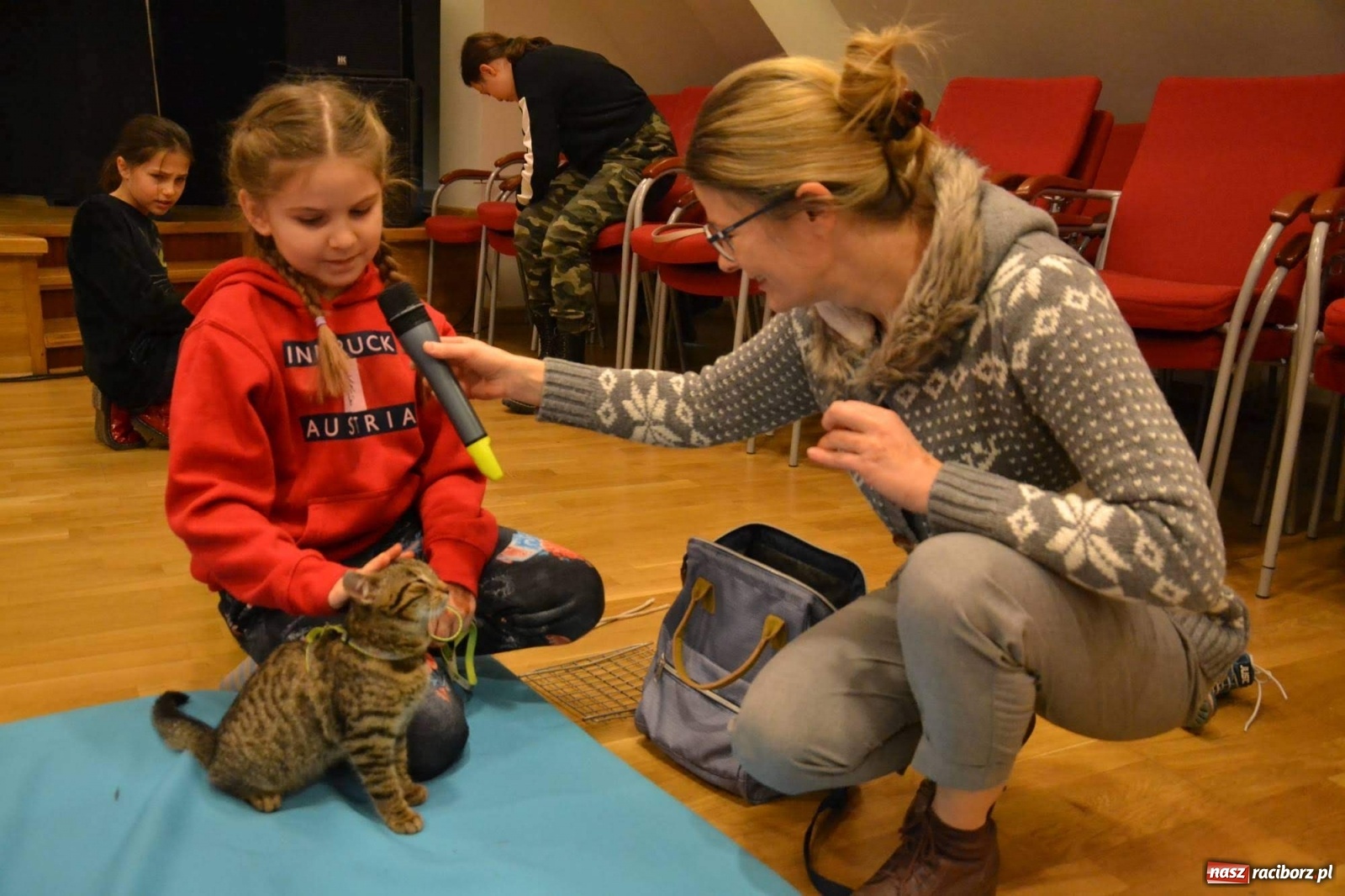 Zdjęcie w galerii na portalu naszraciborz.pl: Dzień Kota na raciborskim zamku wiadomości z regionu