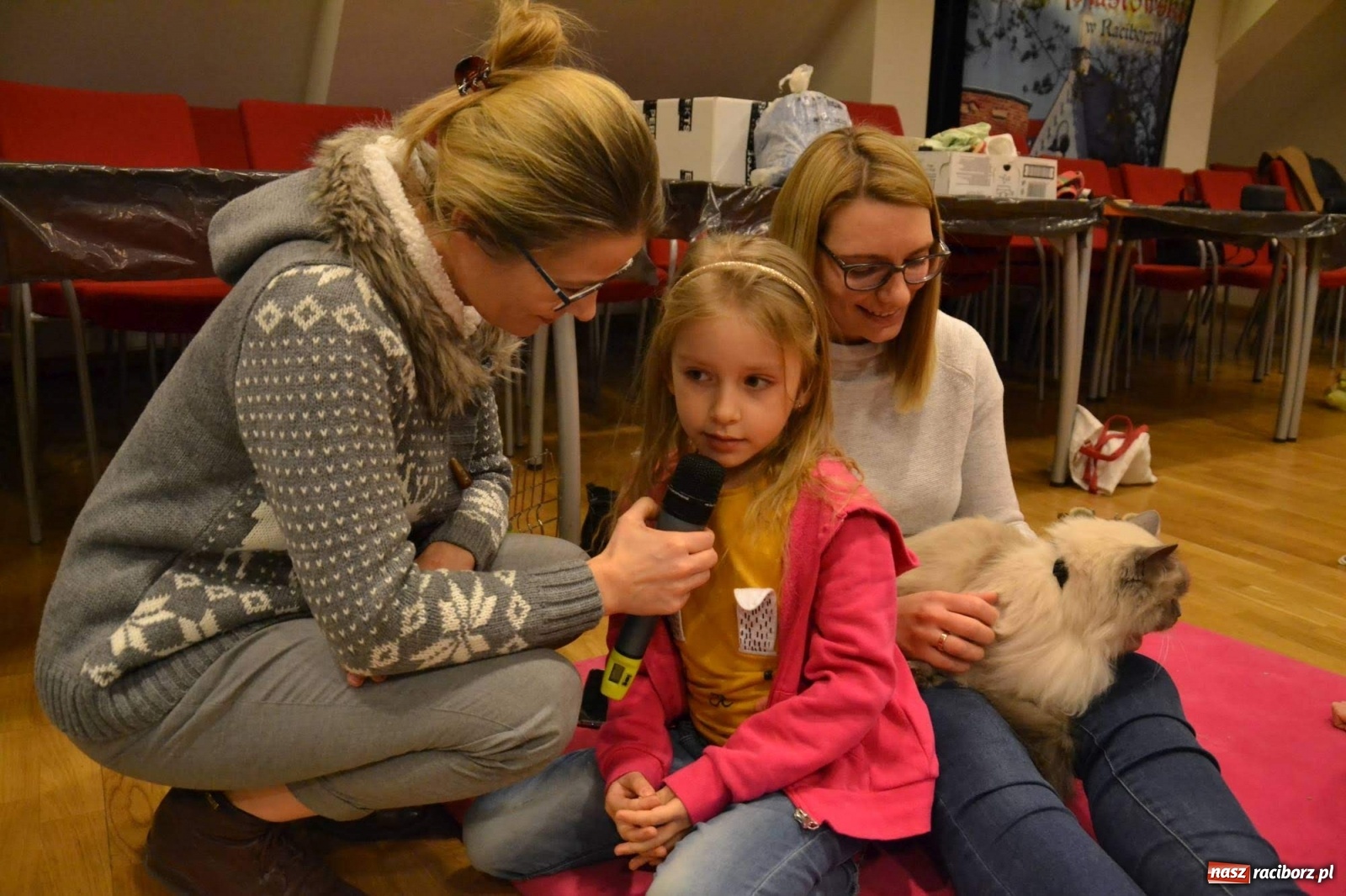 Zdjęcie w galerii na portalu naszraciborz.pl: Dzień Kota na raciborskim zamku wiadomości z regionu