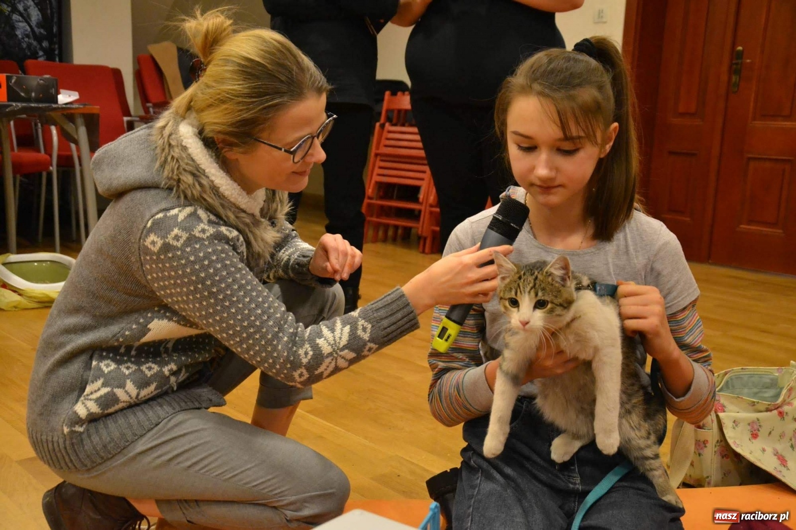 Zdjęcie w galerii na portalu naszraciborz.pl: Dzień Kota na raciborskim zamku wiadomości z regionu