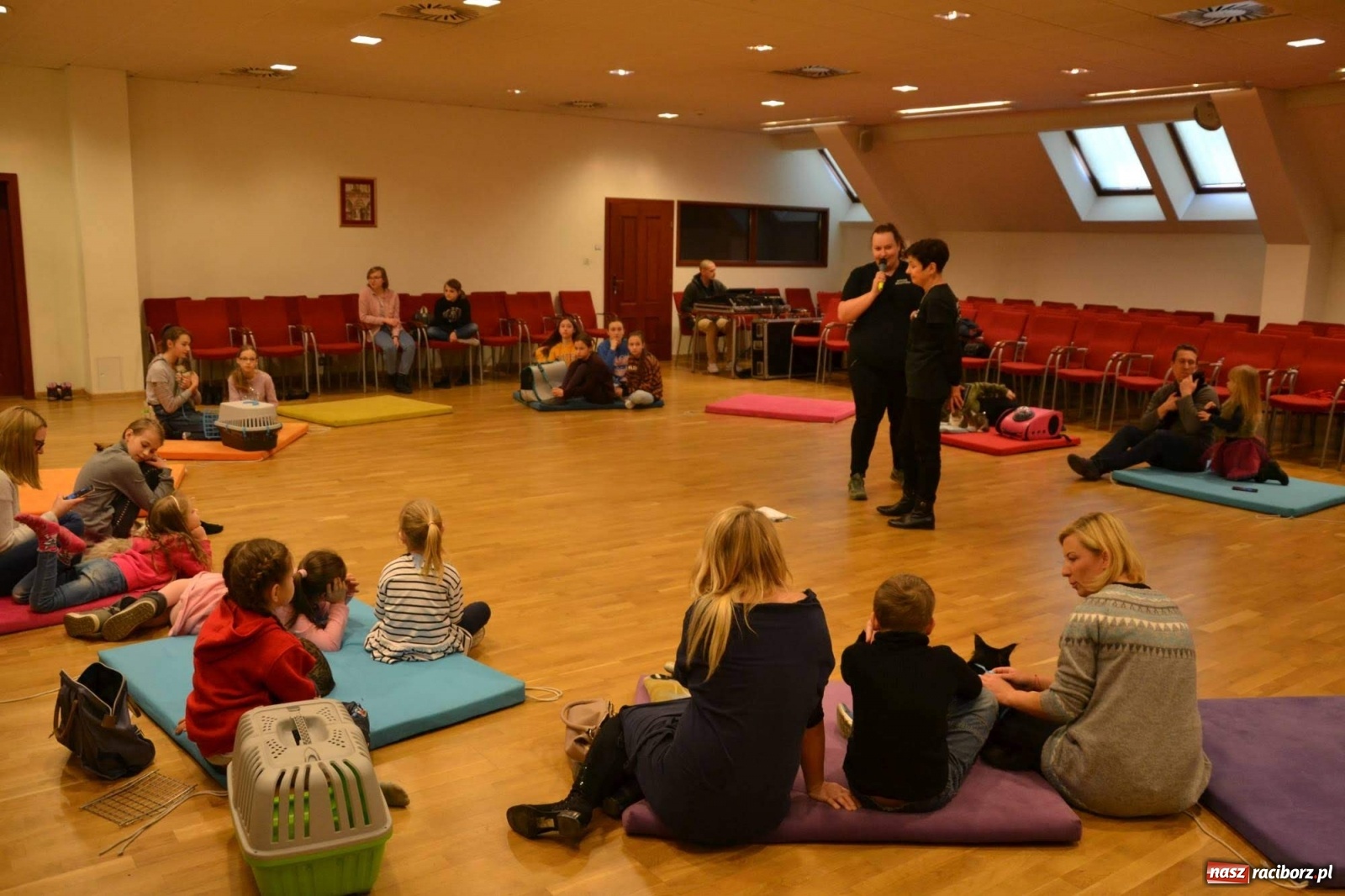 Zdjęcie w galerii na portalu naszraciborz.pl: Dzień Kota na raciborskim zamku wiadomości z regionu