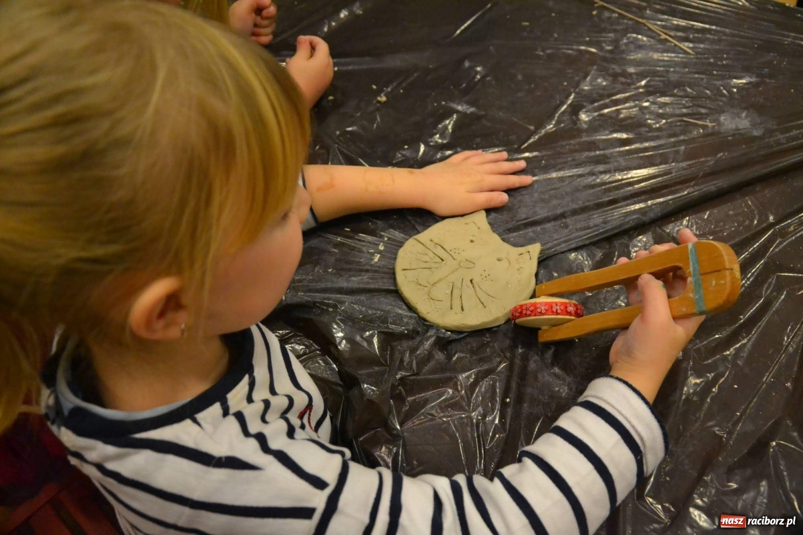 Zdjęcie w galerii na portalu naszraciborz.pl: Dzień Kota na raciborskim zamku wiadomości z regionu
