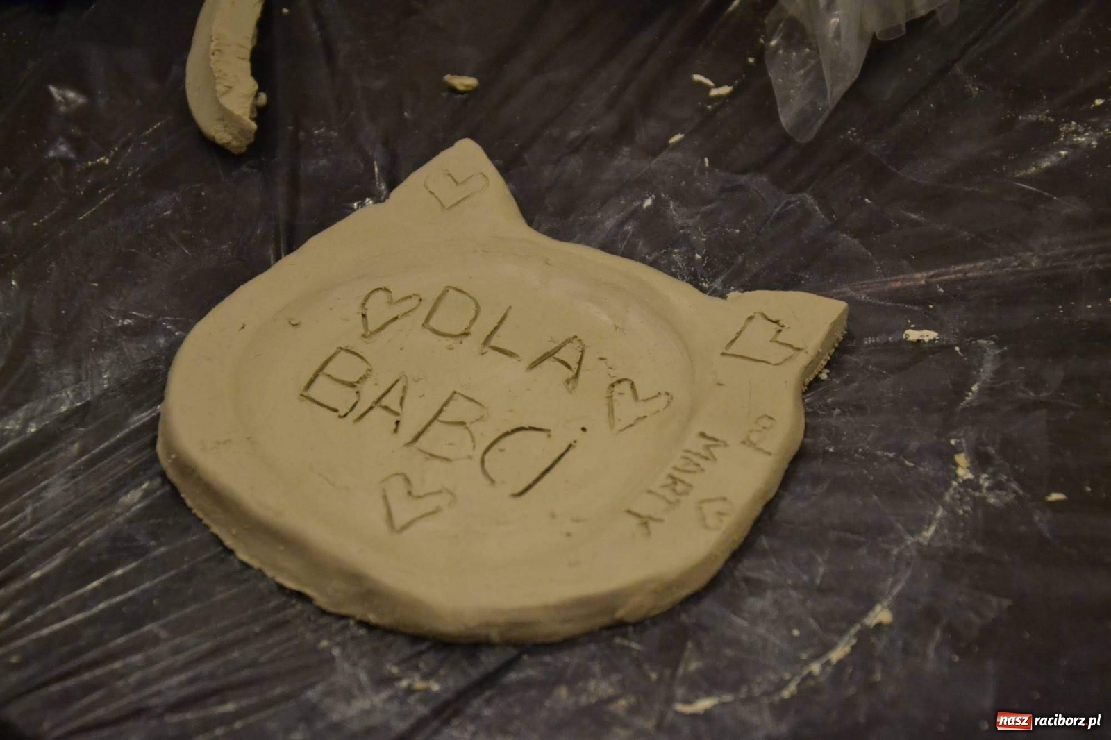 Zdjęcie w galerii na portalu naszraciborz.pl: Dzień Kota na raciborskim zamku wiadomości z regionu