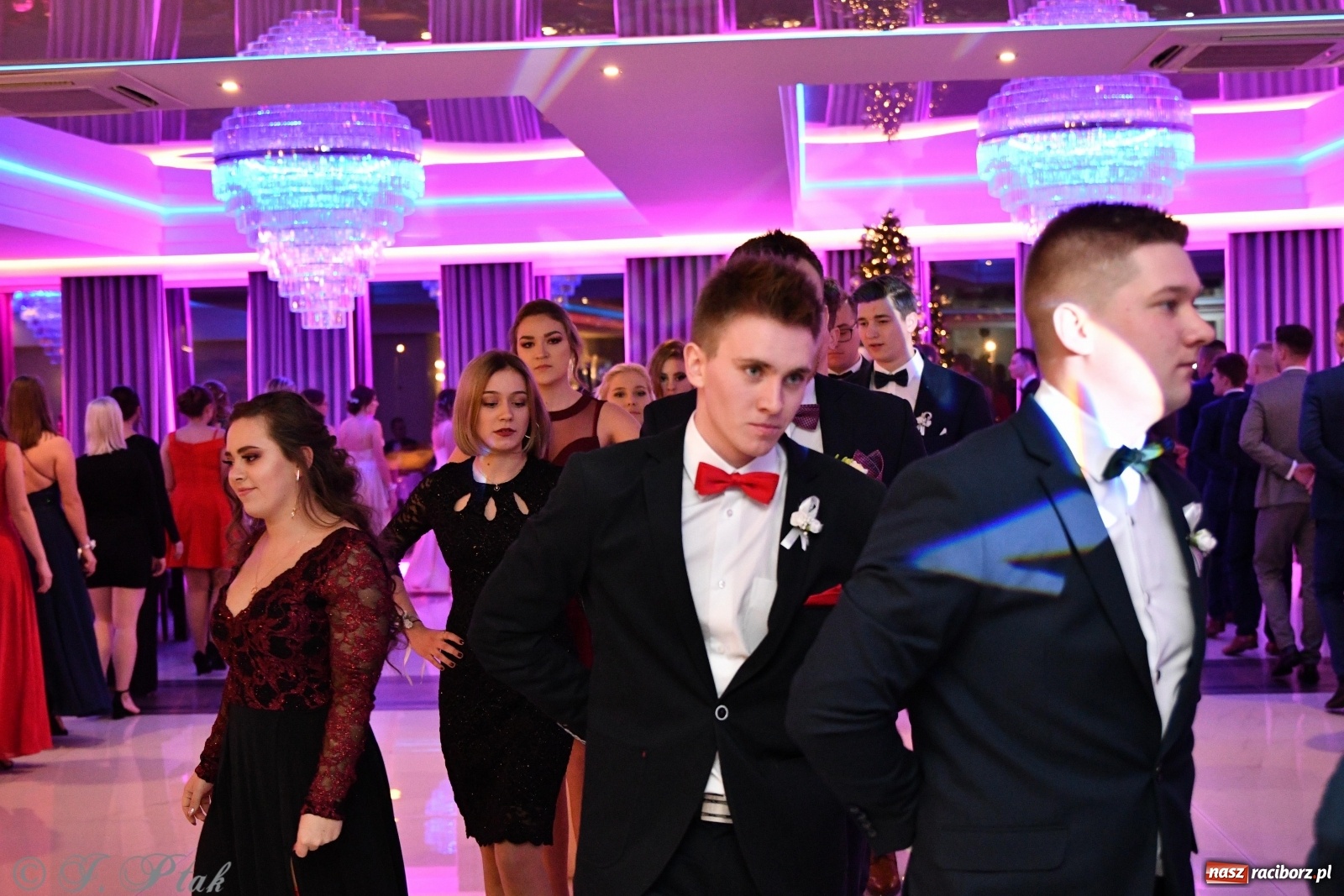 Zdjęcie w galerii na portalu naszraciborz.pl: Gastronomik i Budowlanka bawią się w Białym Domu [FOTO i WIDEO] wiadomości z regionu