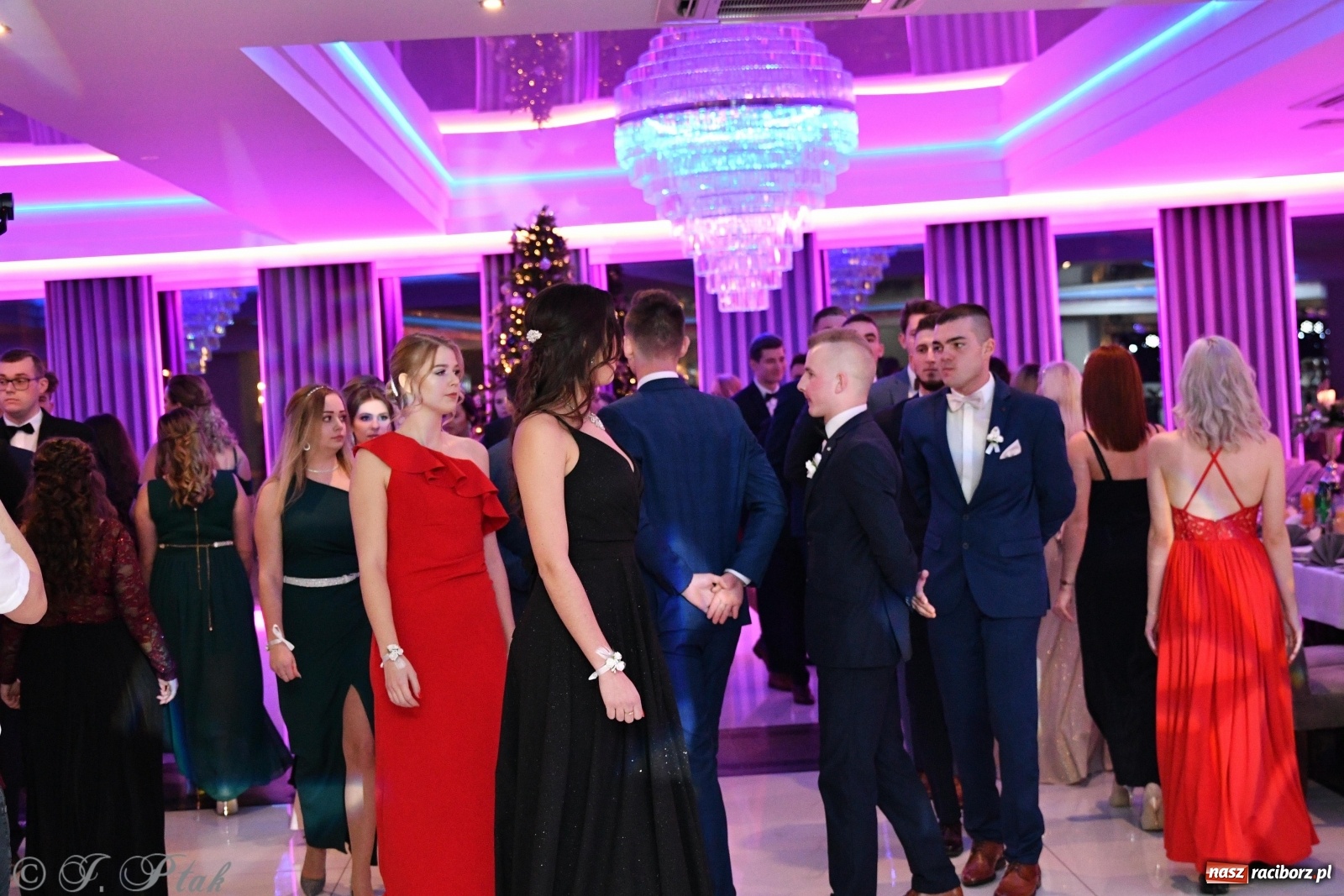 Zdjęcie w galerii na portalu naszraciborz.pl: Gastronomik i Budowlanka bawią się w Białym Domu [FOTO i WIDEO] wiadomości z regionu