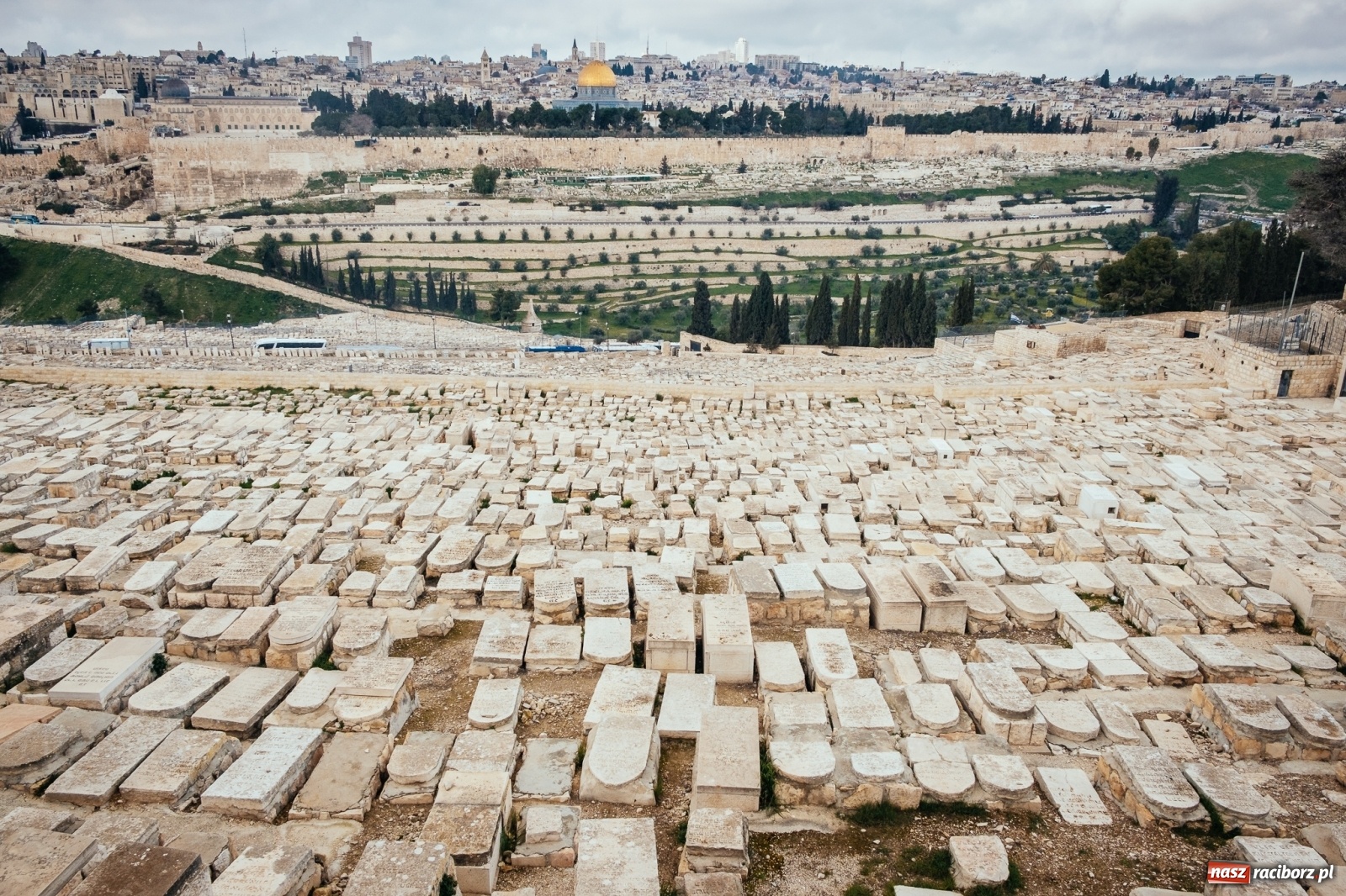 Zdjęcie w galerii na portalu naszraciborz.pl: Ruszaj z nami z Raciborza do Ziemi Świętej! wiadomości z regionu