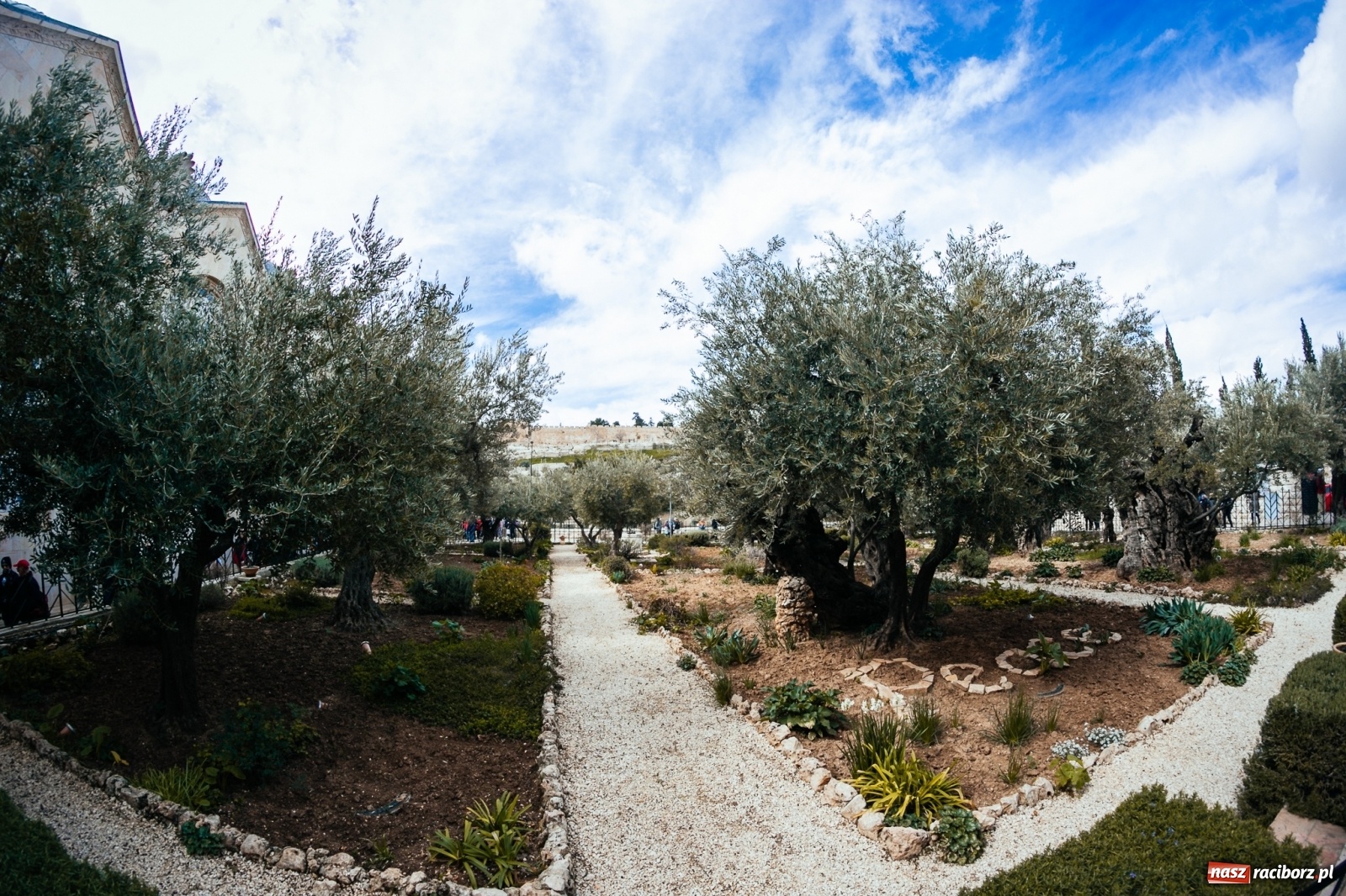 Zdjęcie w galerii na portalu naszraciborz.pl: Ruszaj z nami z Raciborza do Ziemi Świętej! wiadomości z regionu