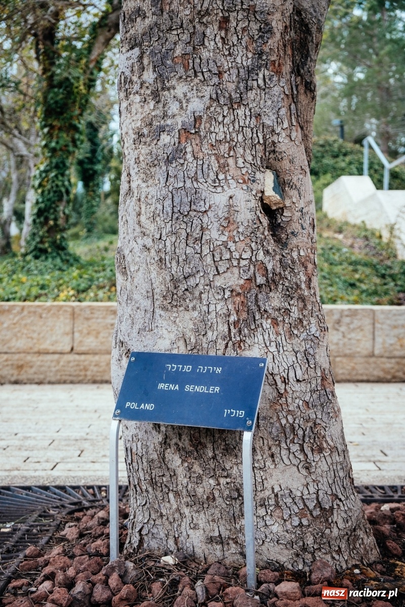 Zdjęcie w galerii na portalu naszraciborz.pl: Ruszaj z nami z Raciborza do Ziemi Świętej! wiadomości z regionu