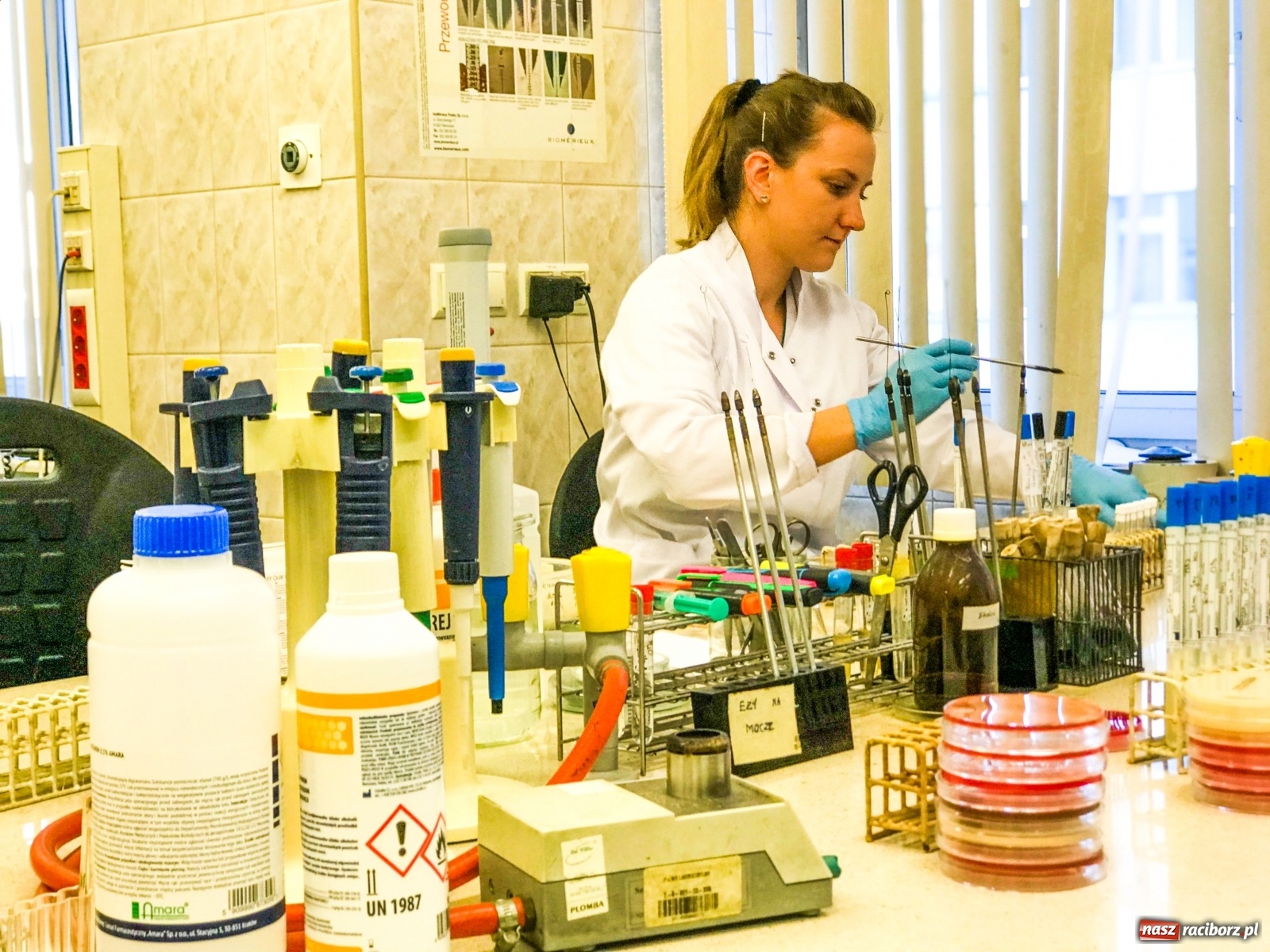 Zdjęcie w galerii na portalu naszraciborz.pl: Koniec złotej ery antybiotyków. W szpitalu widzą problem  wiadomości z regionu