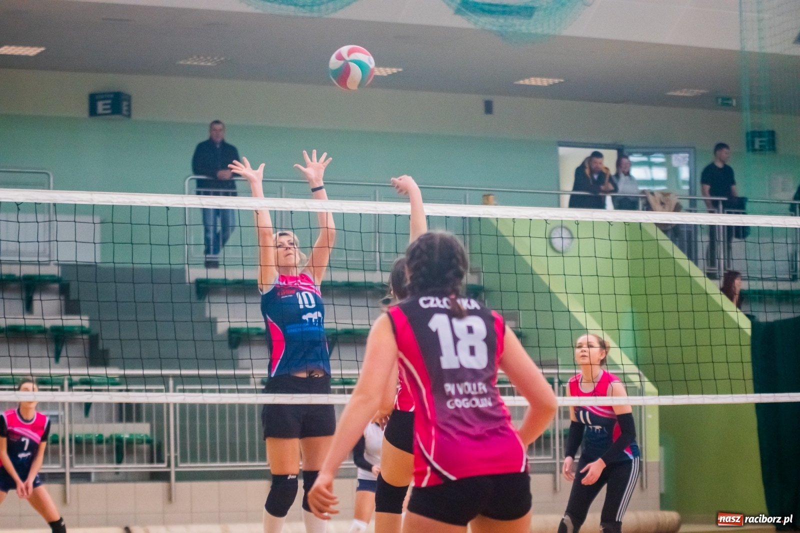 Zdjęcie w galerii na portalu naszraciborz.pl: Siatkarska niedziela w Arenie Rafako [FOTO i WIDEO] wiadomości z regionu