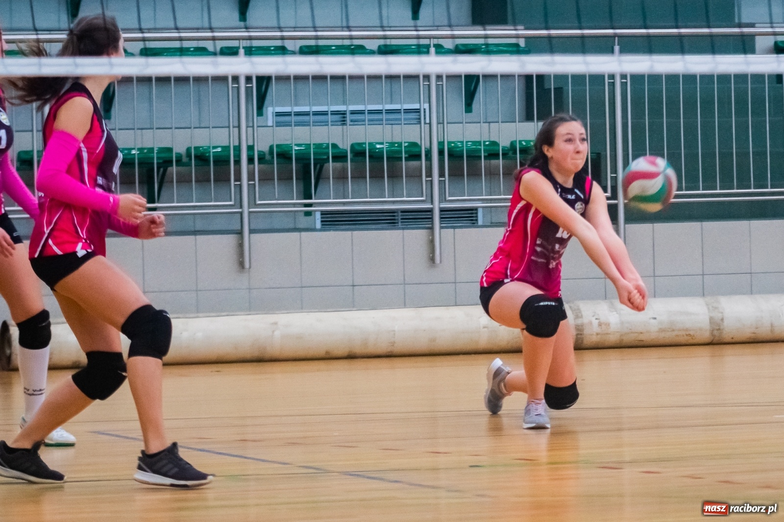 Zdjęcie w galerii na portalu naszraciborz.pl: Siatkarska niedziela w Arenie Rafako [FOTO i WIDEO] wiadomości z regionu